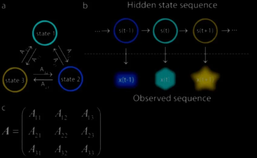 Schematic-example-of-a-three-state-HMM-a-The-three-hidden-states-of-the-HMM-and-the.jpg