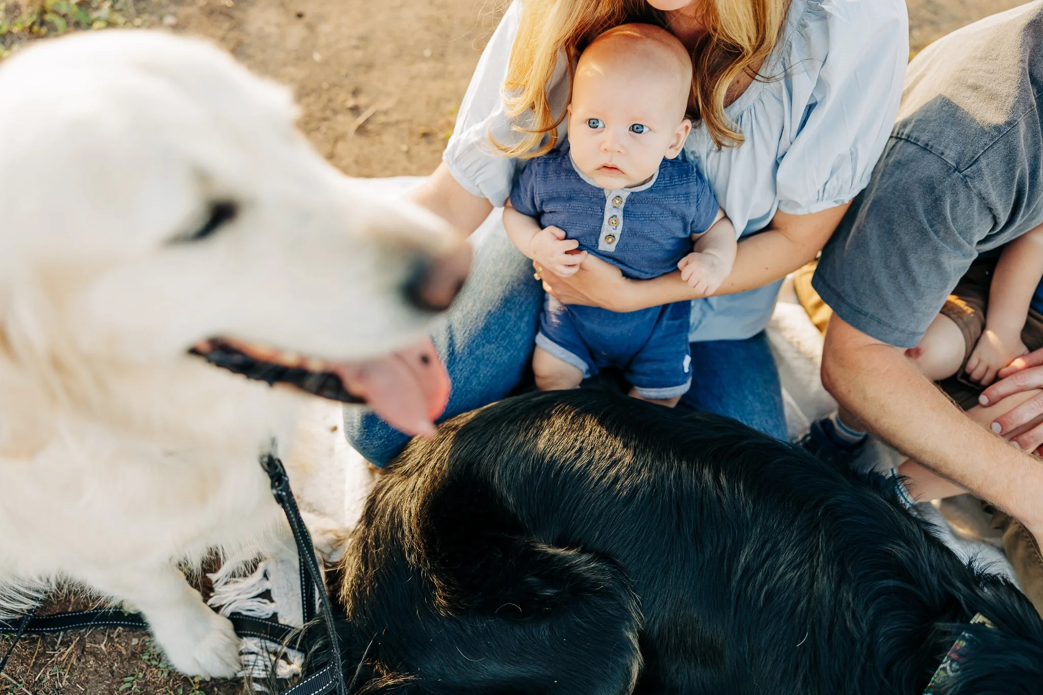 StandleyLakeFamilySessionwithDogs-8.jpg