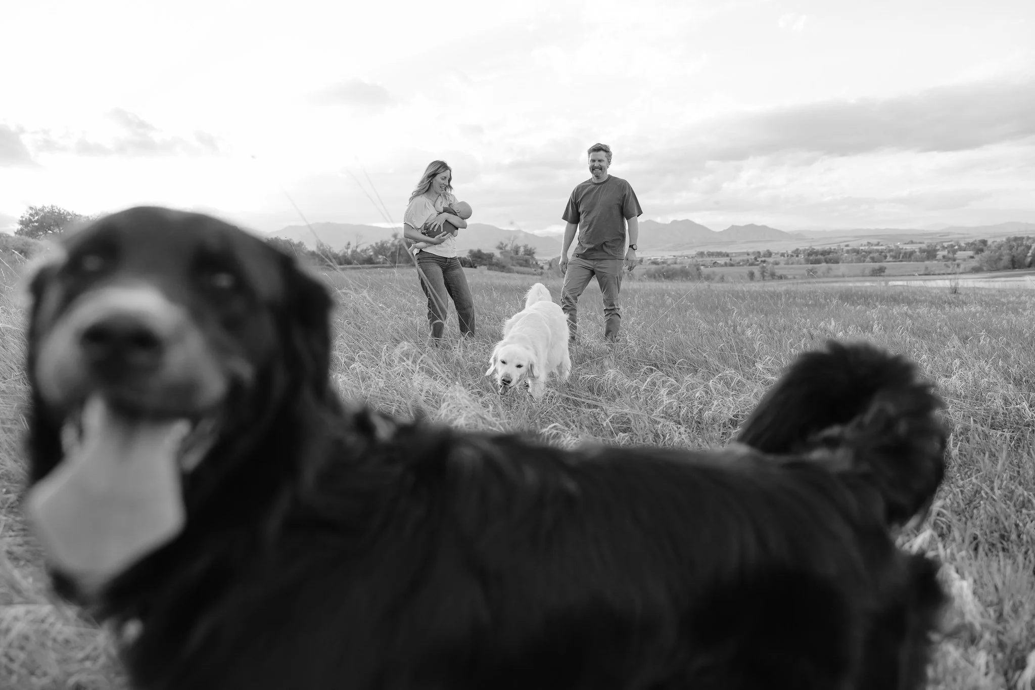 StandleyLakeFamilySessionwithDogs-94.jpg
