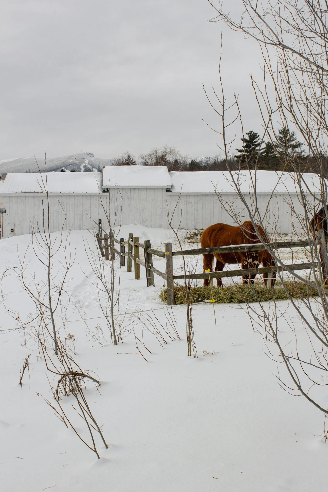 Stable and Slopes 