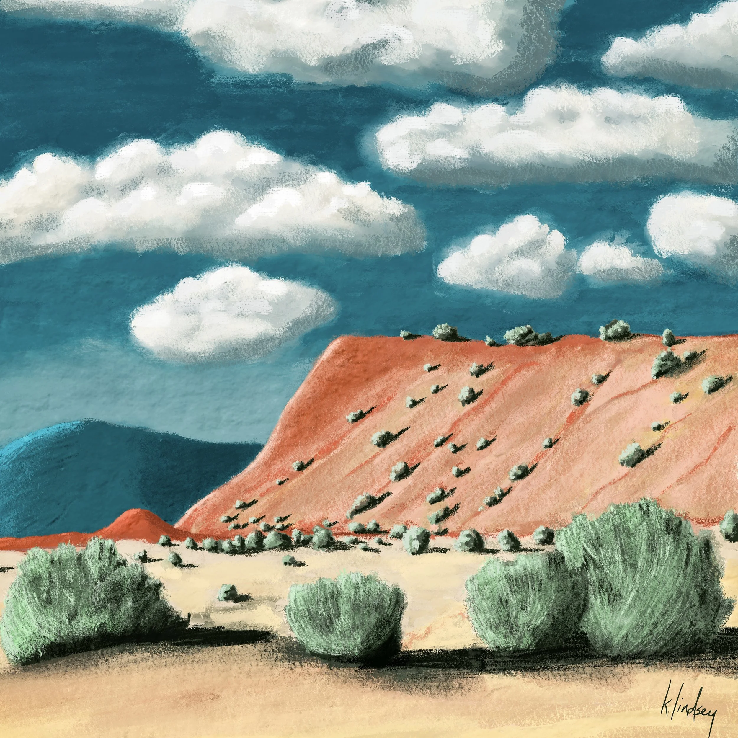 Mesa View