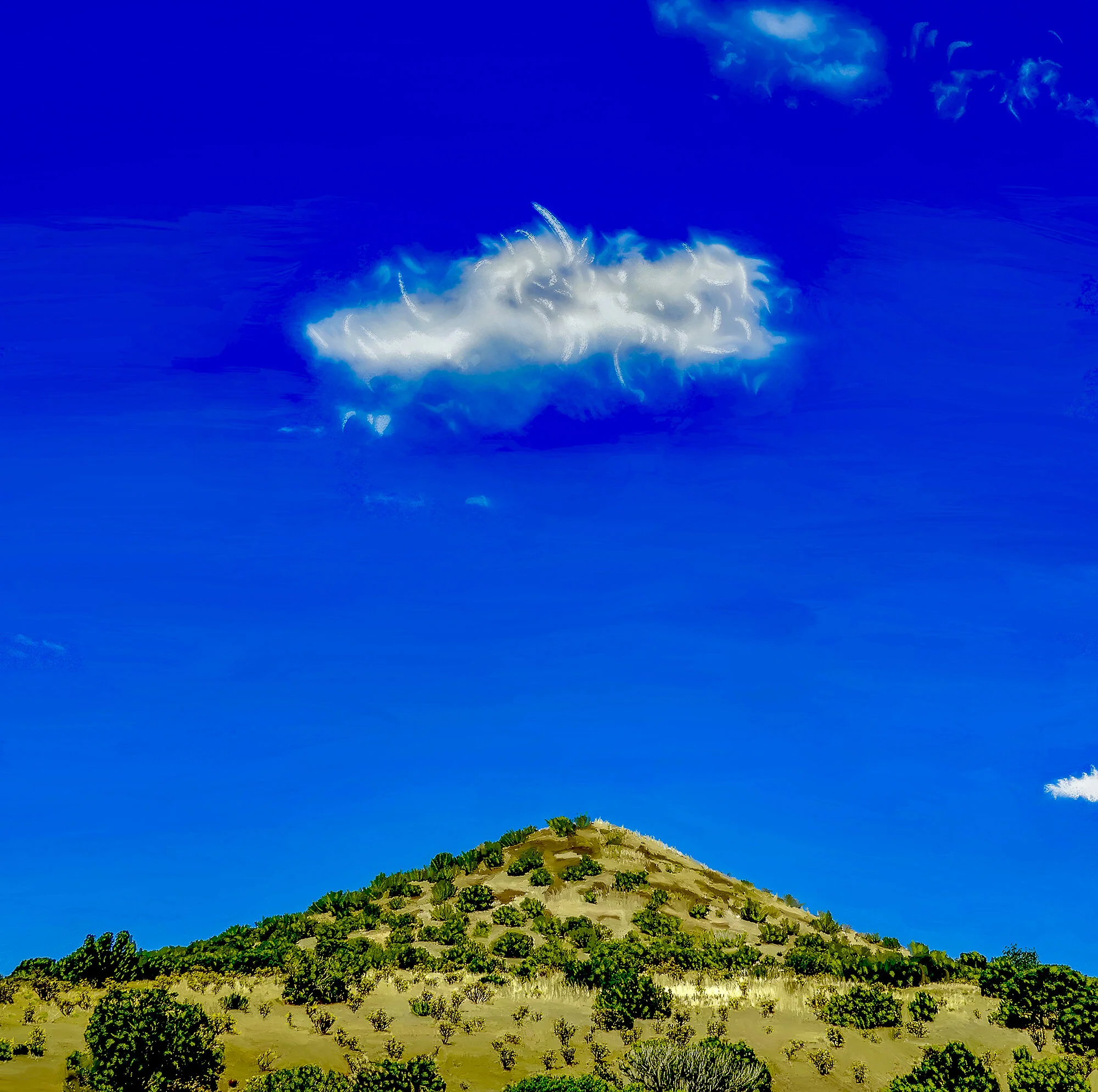 Cholla Hill.jpg