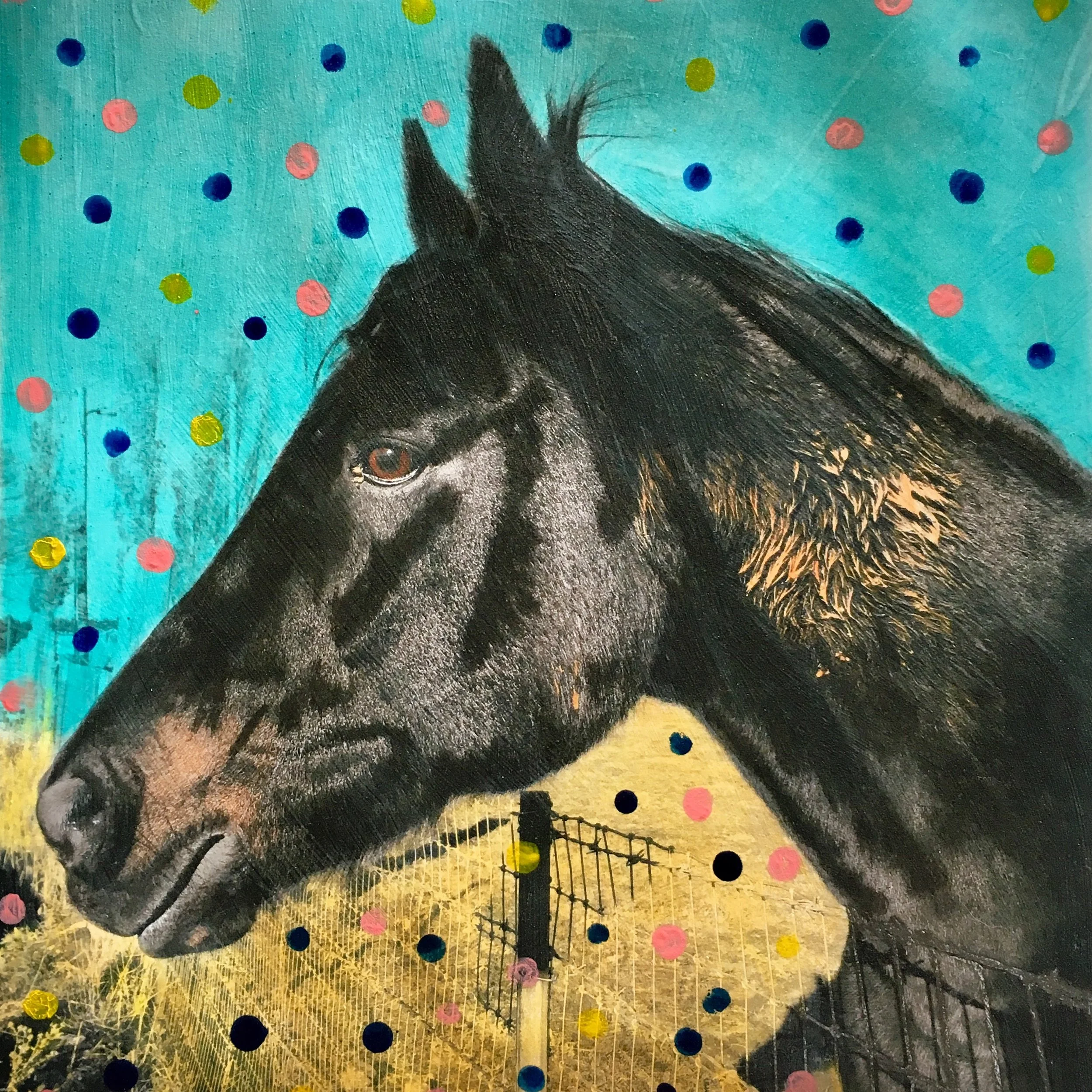 A hand-painted photograph of a black horse depicted against a vibrant background with multicolored dots, a rainbow, and a metallic fence.