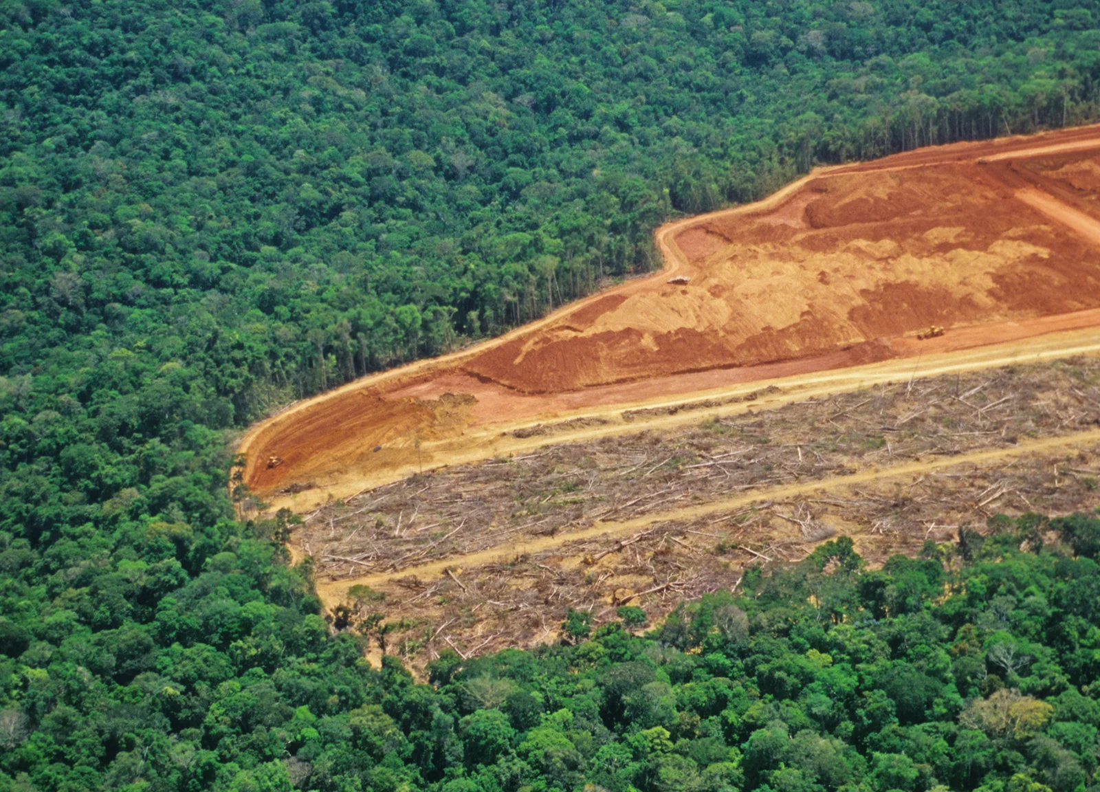 Amazon deforestation happens in remote areas where people are not usually exposed to it, contributing to the normalized perception that causes the shifting baseline. Photo credit: Conservation International