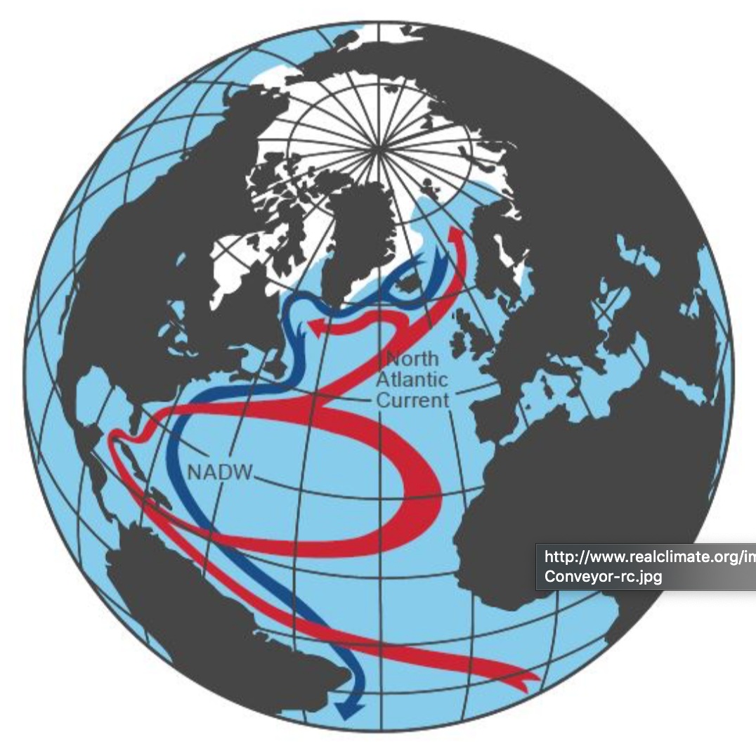 AMOC in the North Atlantic ocean. Red paths indicate warmer surface currents making up the Gulf Stream, and blue paths indicate colder, deep currents making up the North Atlantic Deep Water. Credit: Rahmsdorf et al., 2015.