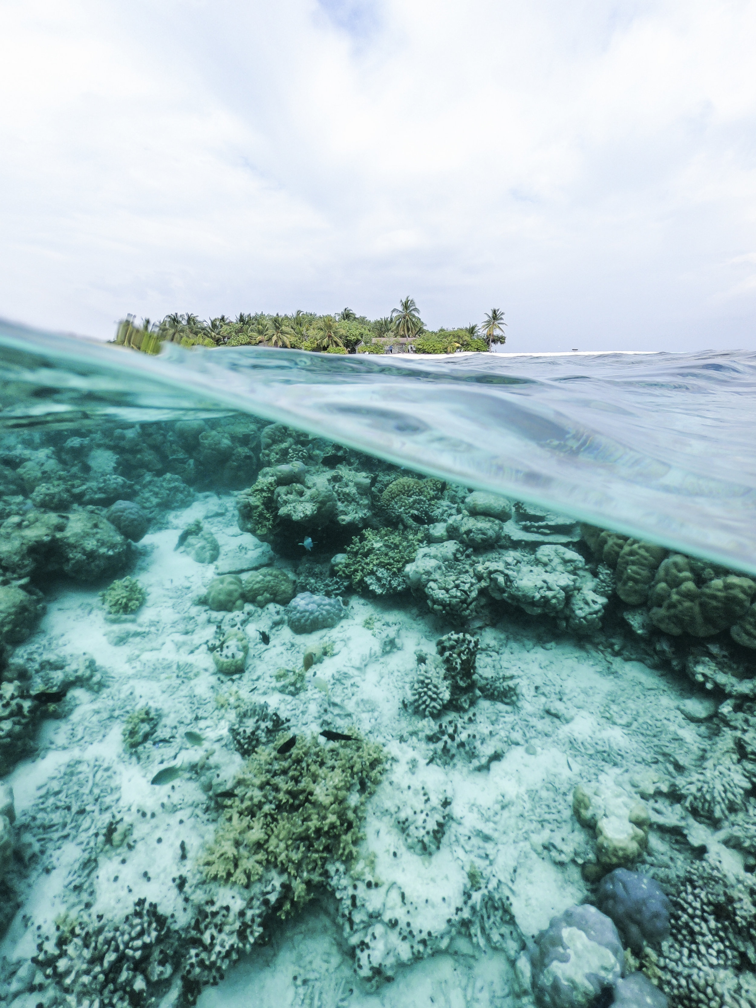 Coral reefs provide the foundation for the livelihoods of people living on island nations. Photo credit: Ishan