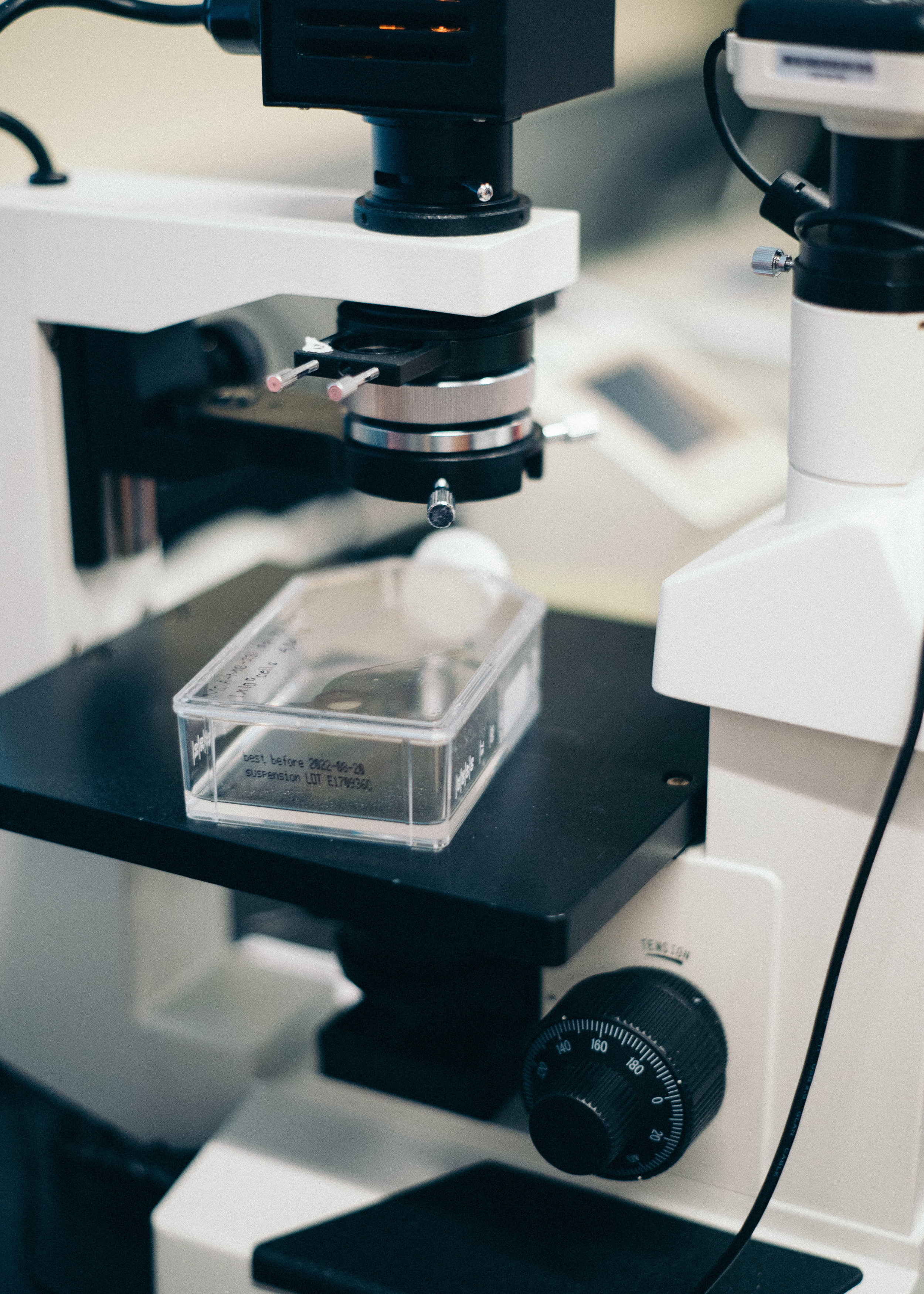 For in vitro experiments, scientists can use cells in a dish to model a variety of different diseases. Often, cells cultured in a flask like the one shown in this picture. Photo credit: rawpixel