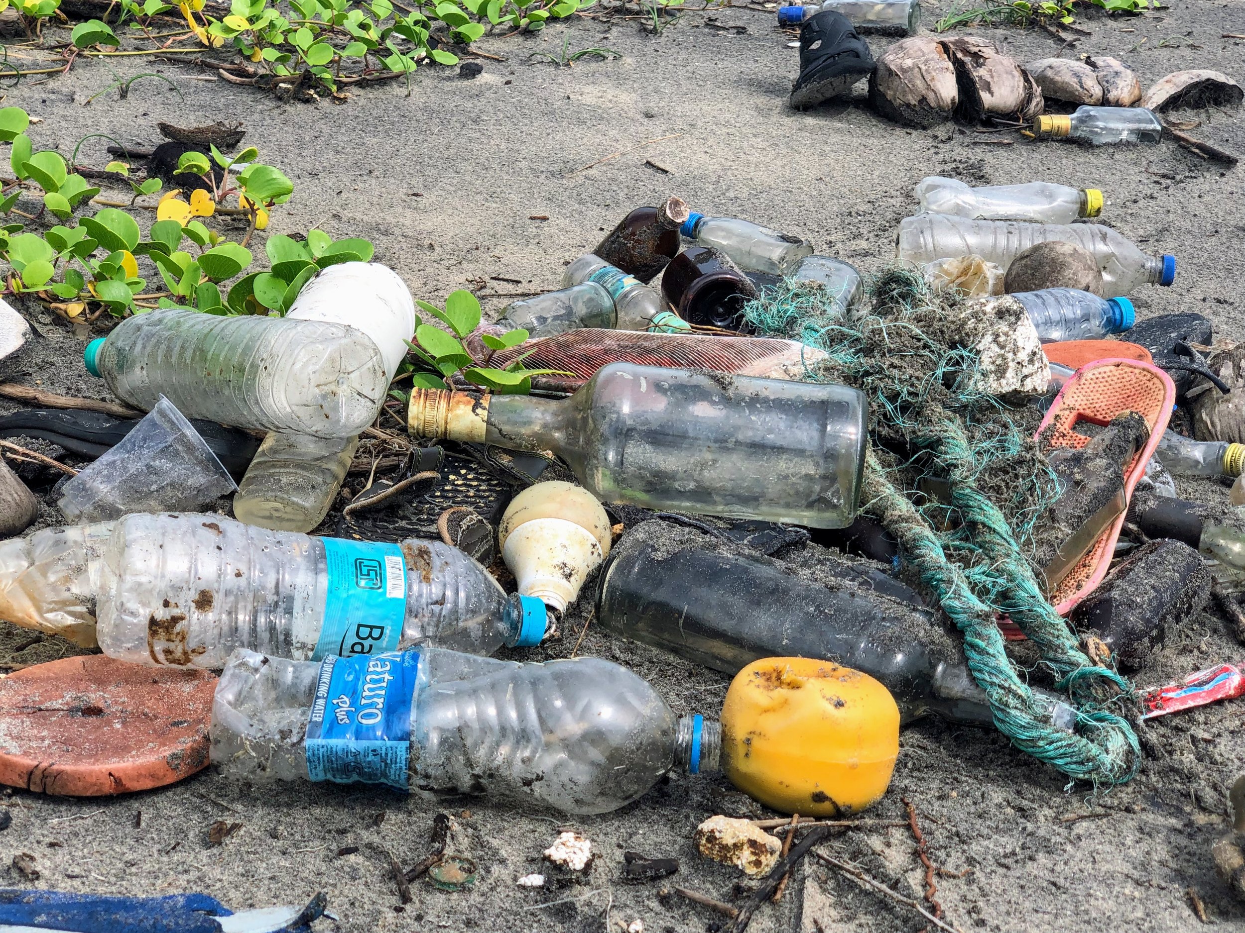 Plastic is without a doubt our most permanent impact on the world around us. The transition to bioplastics might not remove already existing plastics, but it would slow the rate of pollution, which is a start. Photo credit: John Cameron
