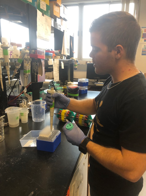 The author, Jason Baer, hard at work extracting DNA.