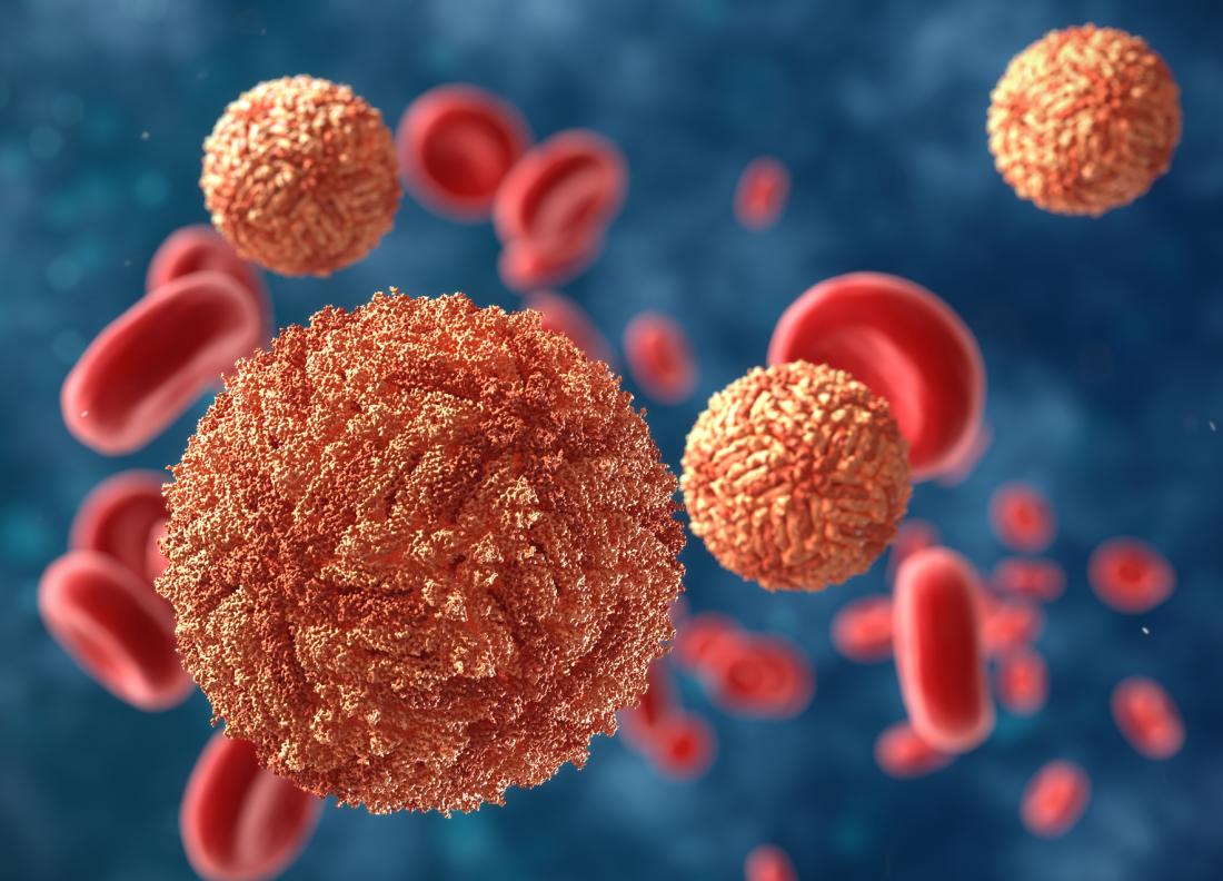 An illustration of the Zika Virus in blood. Credit: Medical News Today