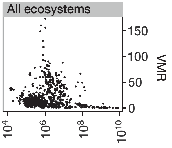 In this graph by the authors , it is clear that in all ecosystems, VMR is lower at lower microbial abundances (Piggyback-the-Loser, higher at moderate abundances (Kill-the-Winner), and low at high abundances (Piggyback-the-Winner).