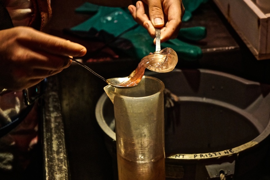 Jellyfish mass is measured through biovolume displacement in the laboratory. Photo credit: Jared Moelaart
