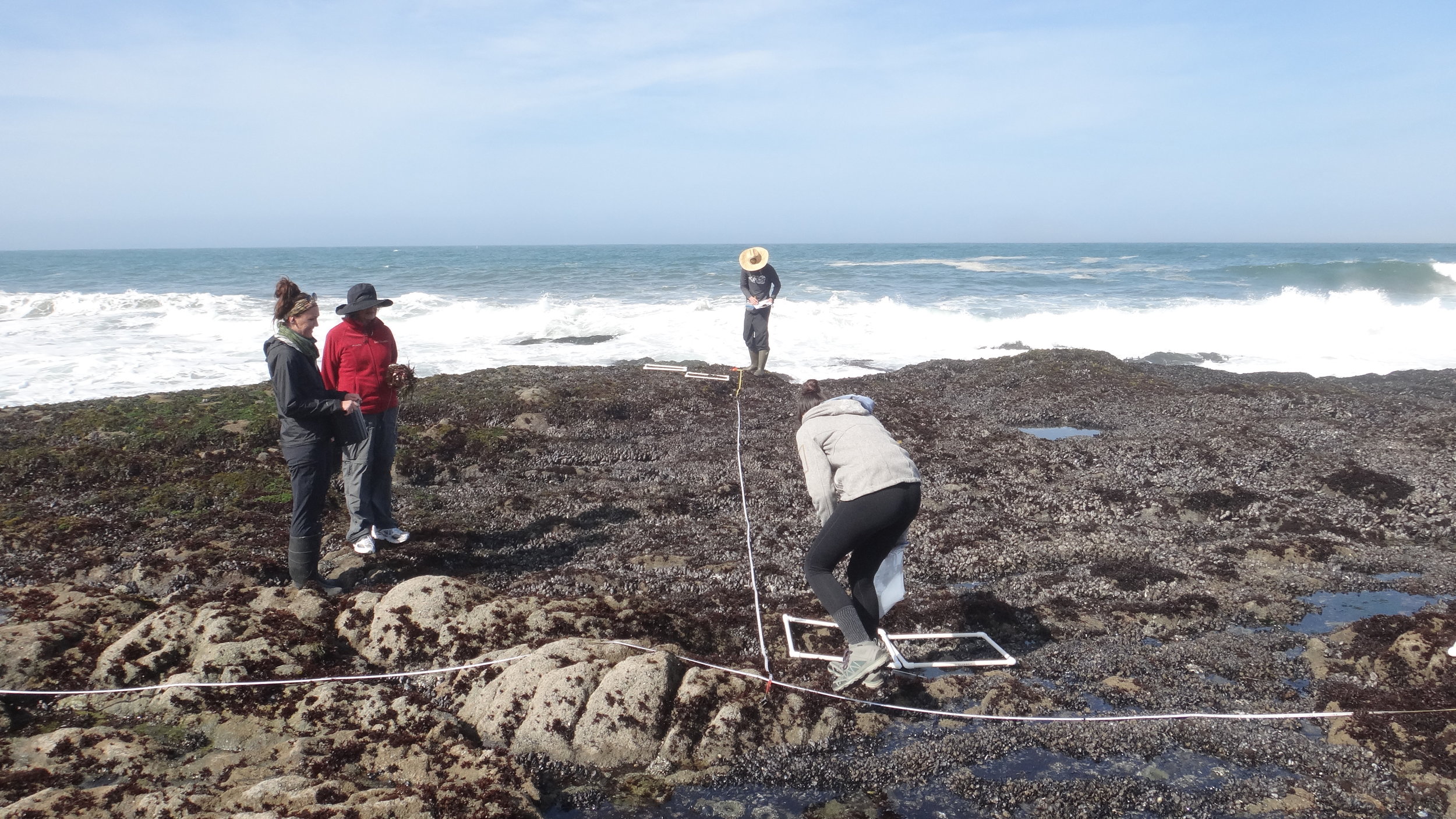 Dr. Susan Williams (in red), helping us to collect samples on the intertidal zone to look for microplastics. Photo credit: Alexander Carsh