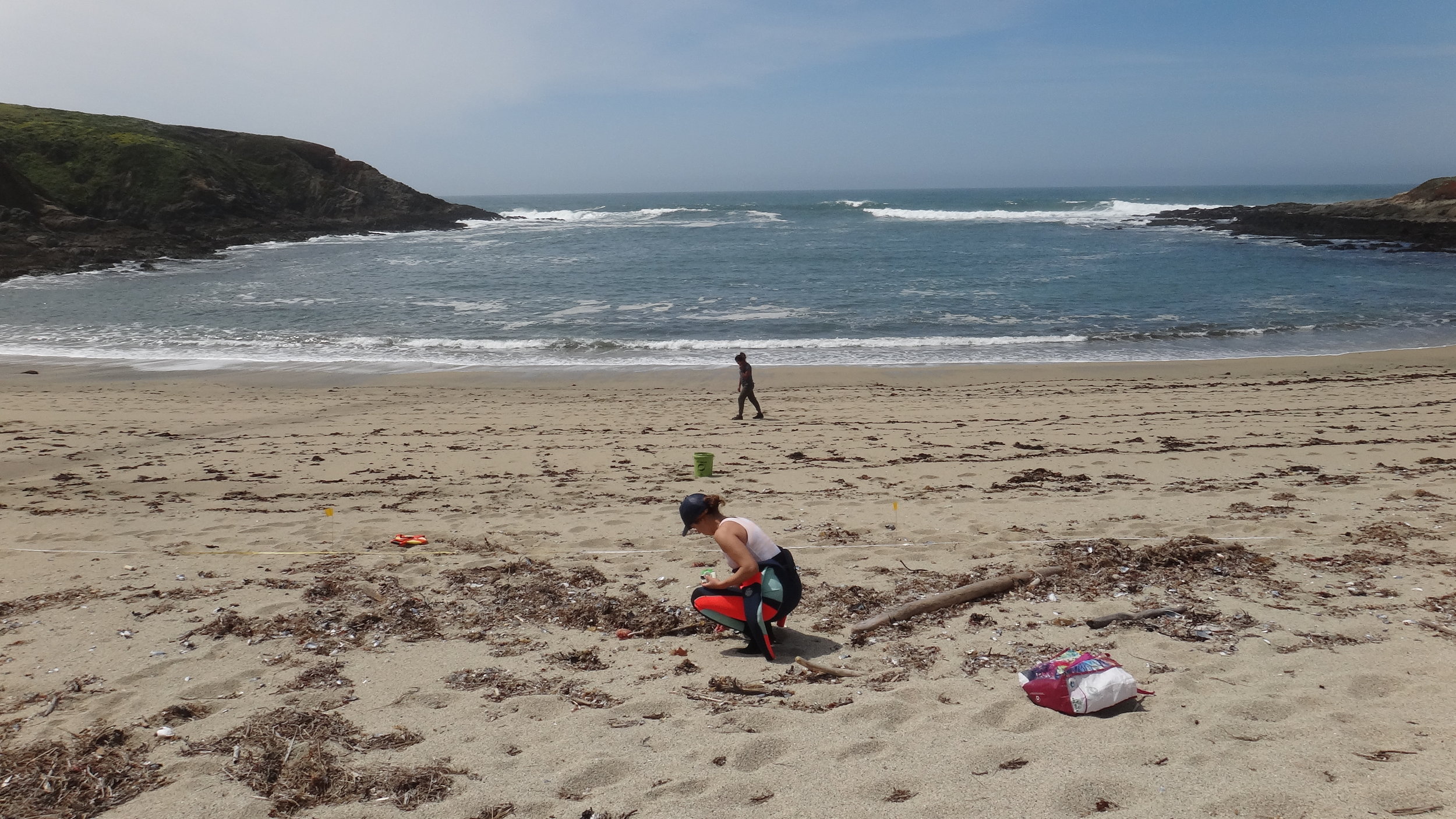 The author collecting plastic samples on a protected beach in Bodega Marine Reserve, that Sunday in April 2018. Photo credit: Alexander Carsh