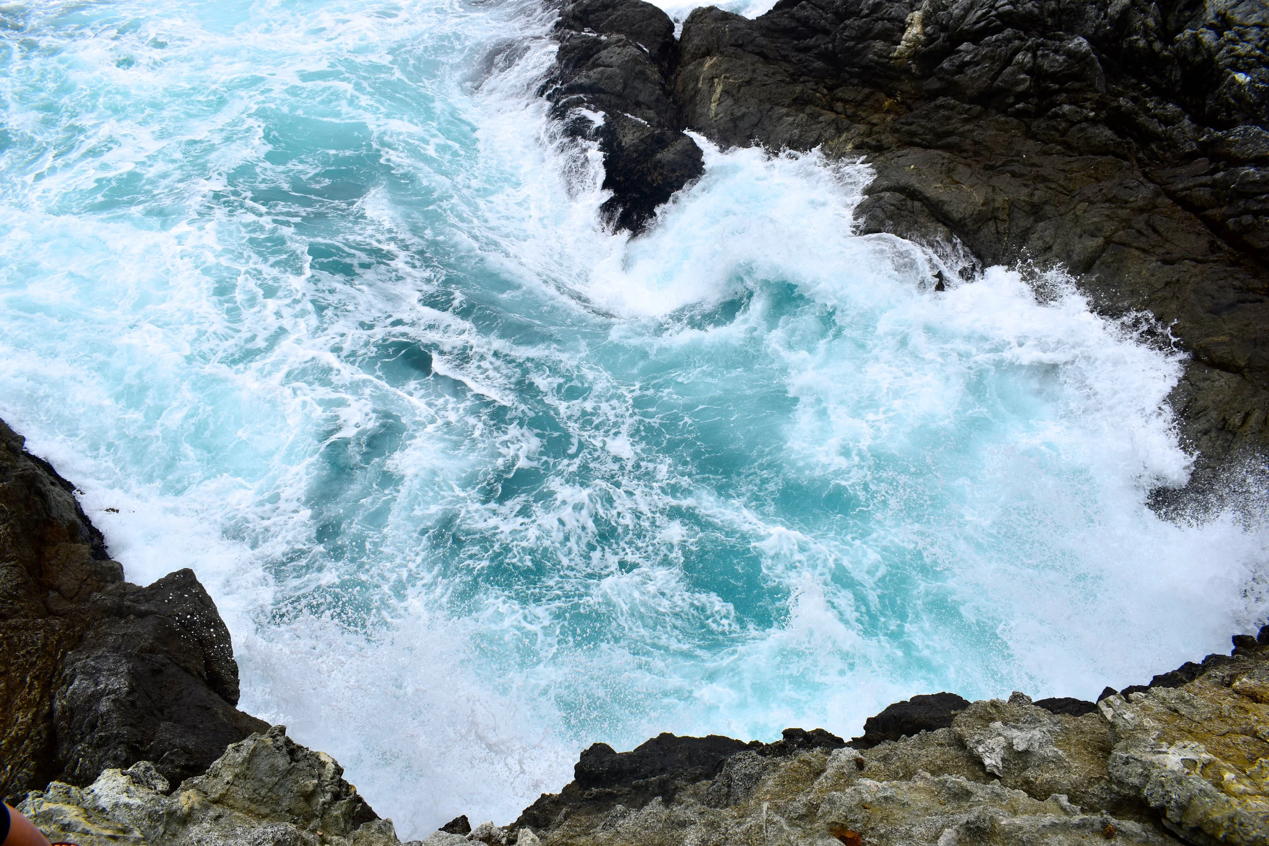 DSC_0541.jpg