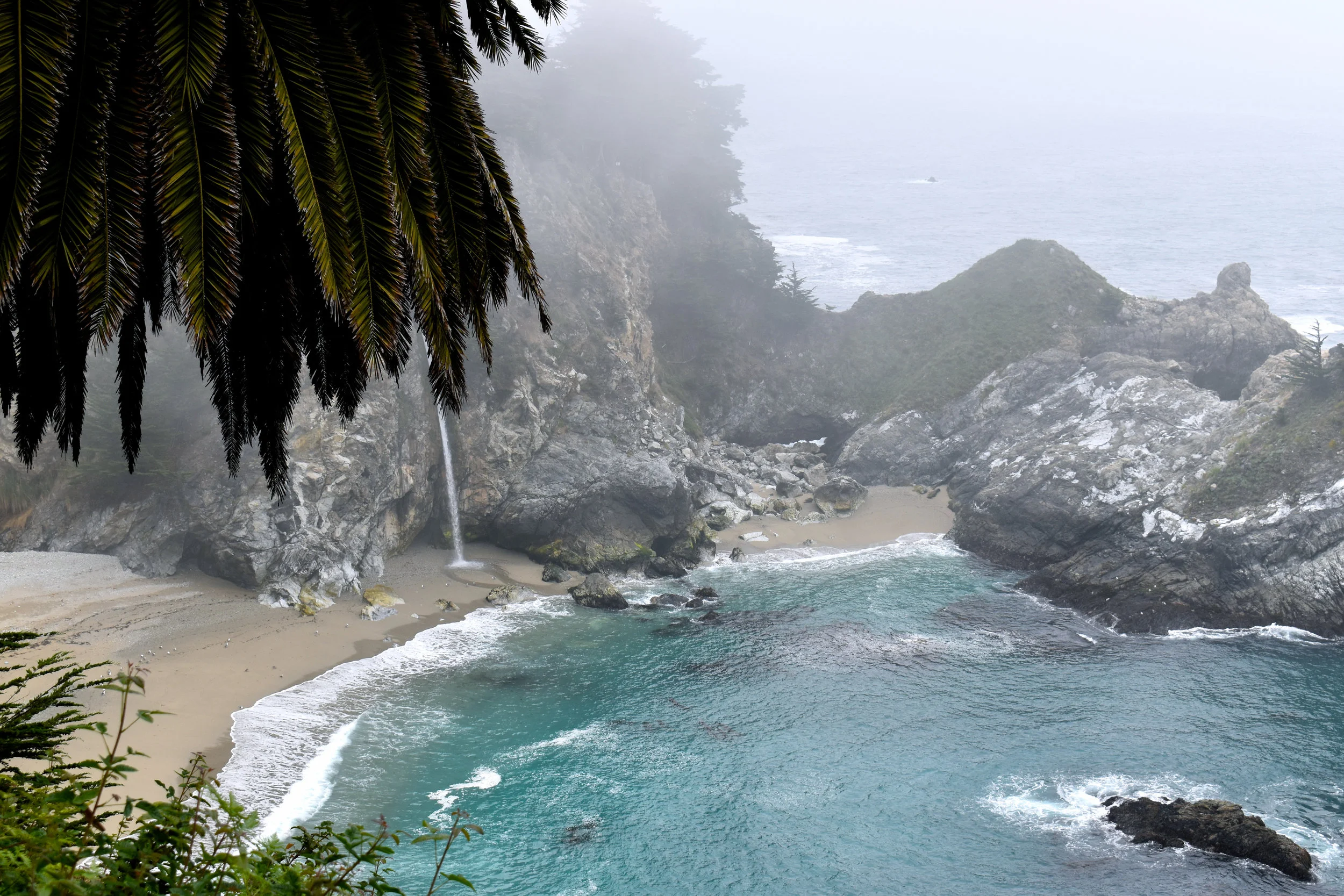 Photos taken in Big Sur, California, by the author.
