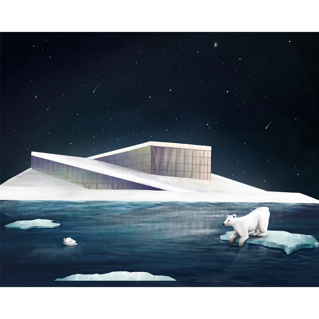 Floating on Ice 40x50cm (DGA) 10stk.jpg