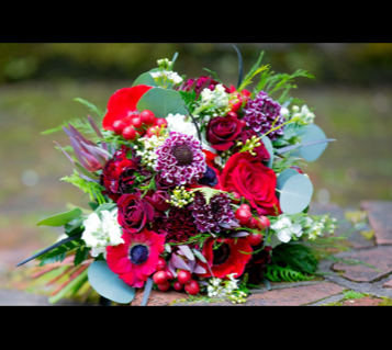 IMG_5730.PNG