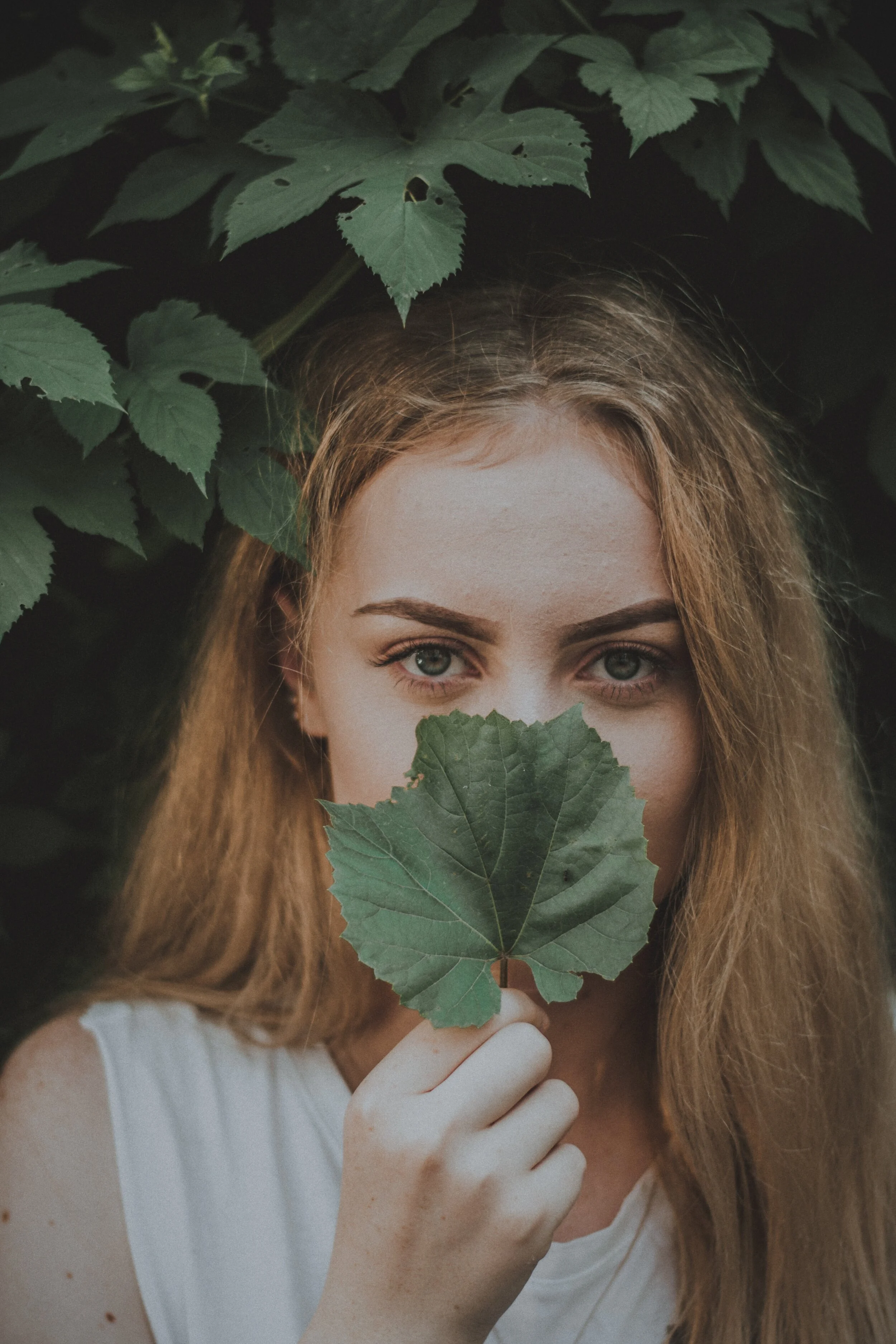 radu-florin-3khMcS5CLN0-unsplash.jpg