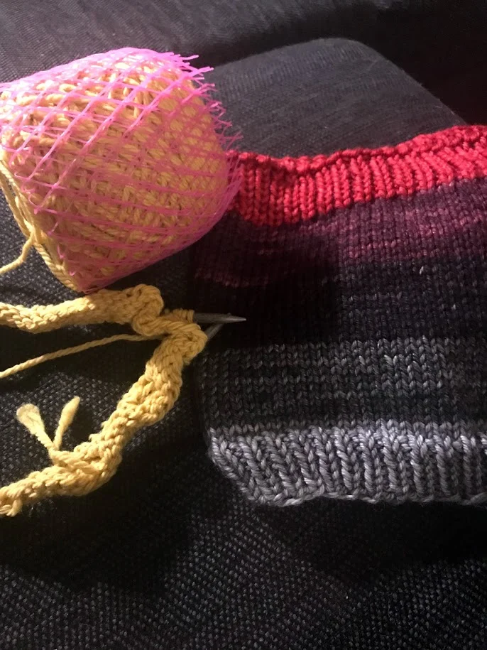 The first start and finish of the year. I finished an infinity scarf with a gradient by Black Trillium Fibers . The start is the Wool & Honey Bee Cozy for my hot water bottle. It even came in a kit , so there was no worry about getting the right type of yarn.