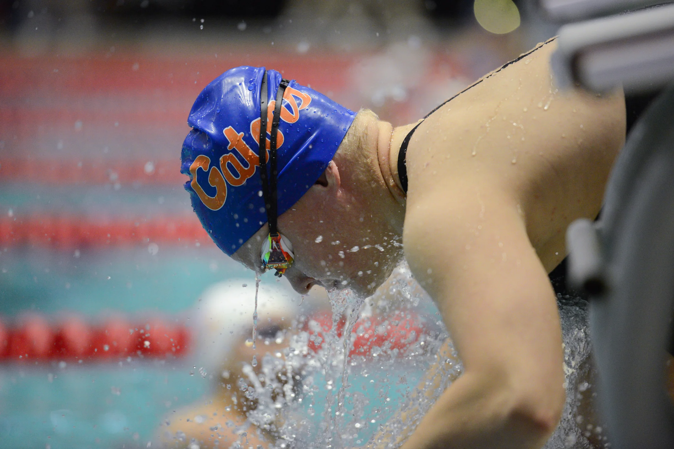 A Florida swimmer prepares to jump in during prelims on the morning of Feb. 21, 2019 in the Gabirelson Natatorium in Athens, Georgia. Many swimmers have elaborate pre-race rituals. (Photo/Julian Alexander)