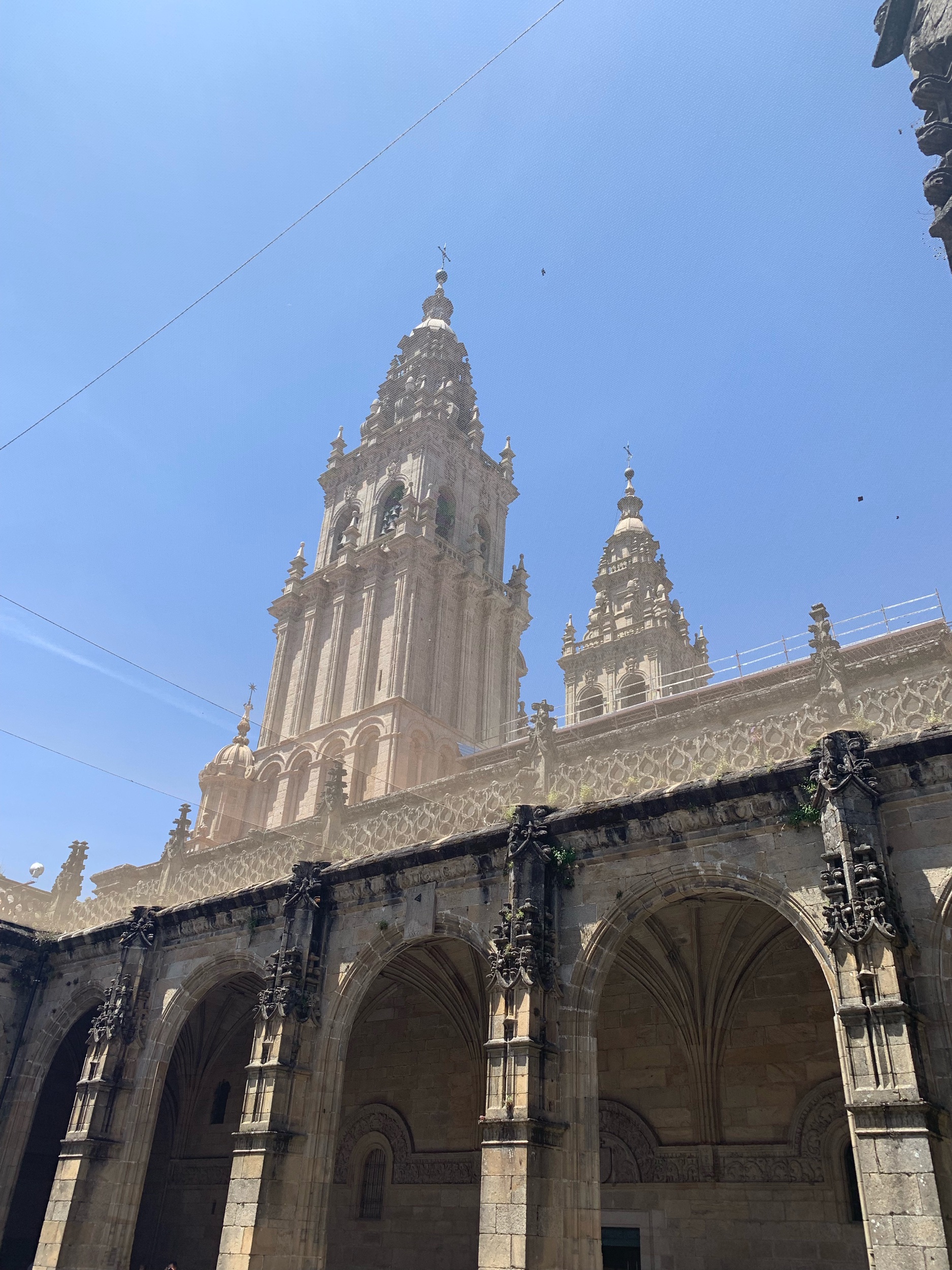 IMG_0934.jpeg