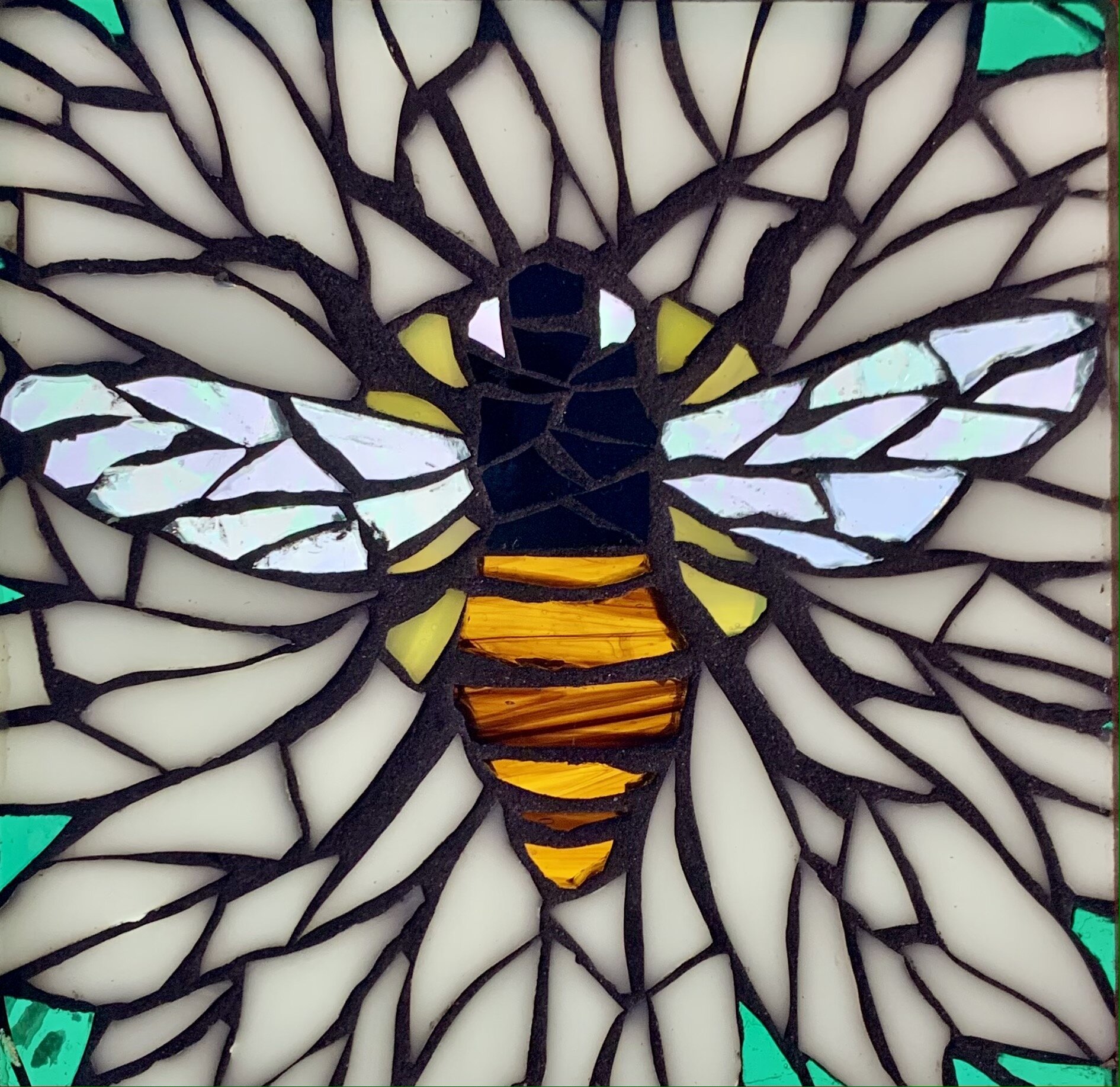 Bee (Pretty Little Thins Series)