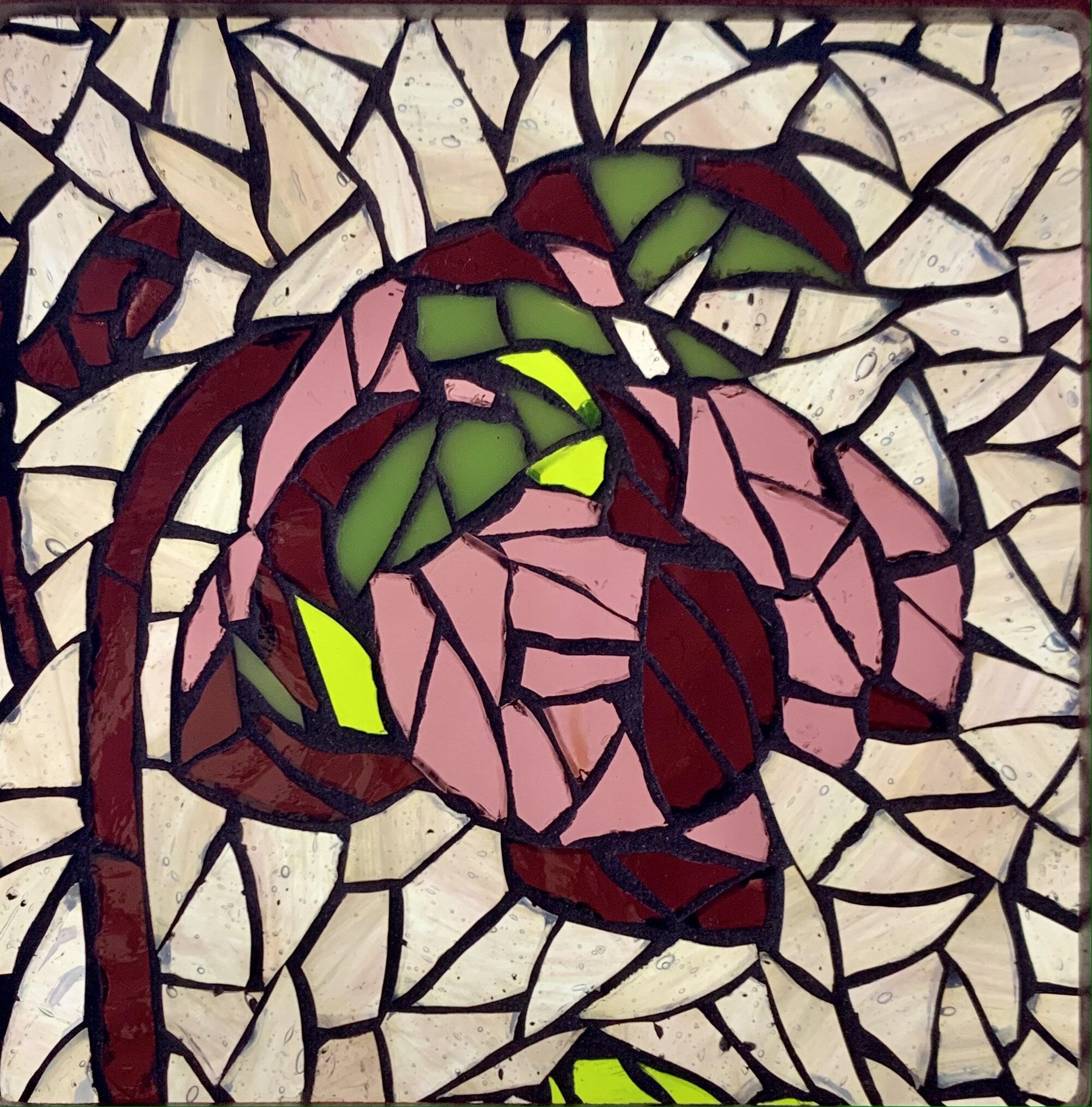 Pitcher Plant (Pretty Little Things Series)