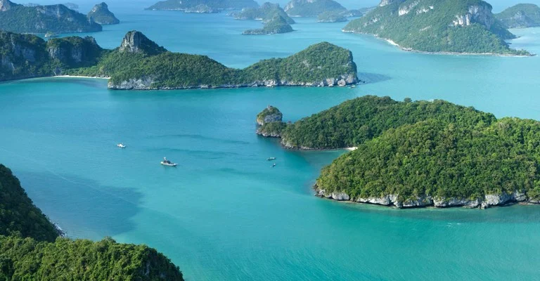 IDYP: Battle for the Pacific