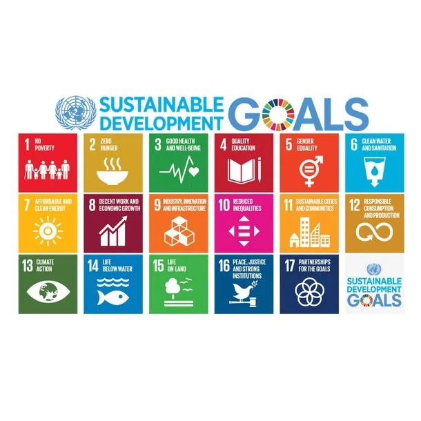 sdgs.jpg