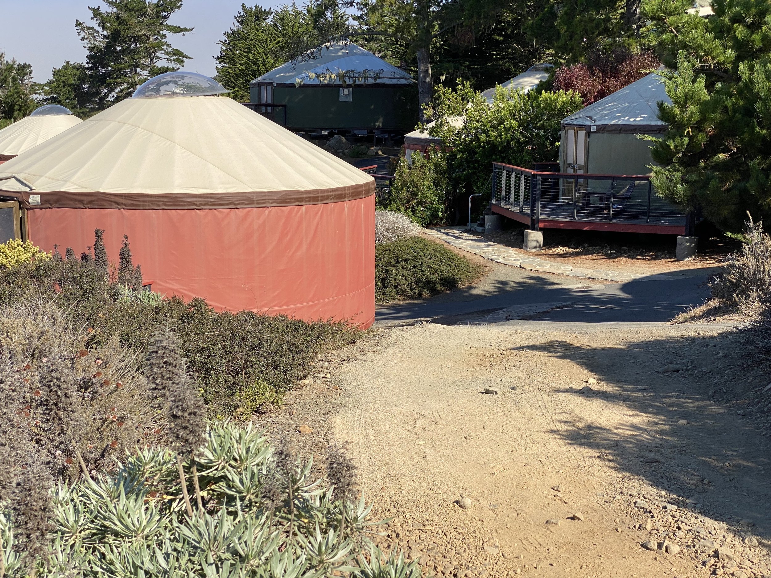 More Yurts at Treebones Big Sur.jpg