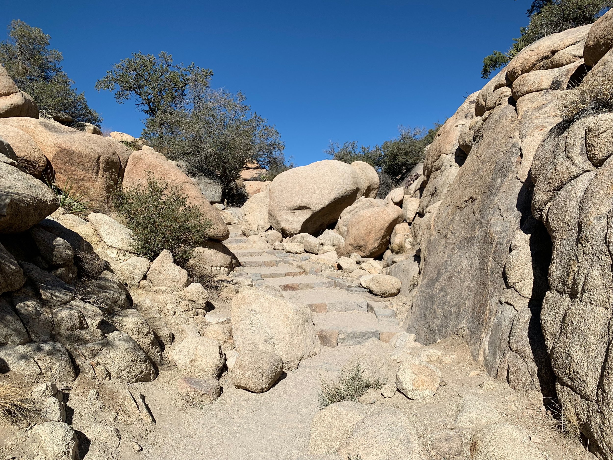 Steps Joshua Tree Barker Dam.jpeg