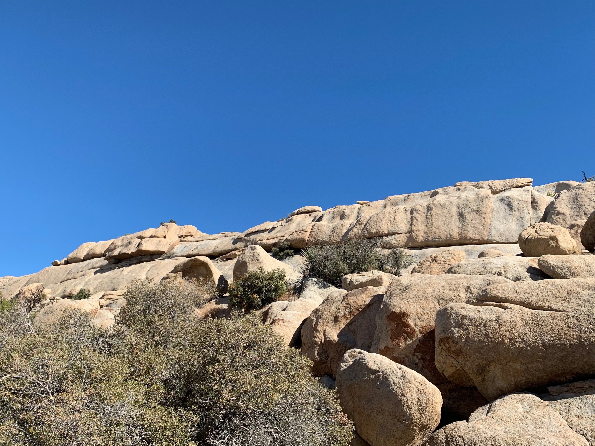 Rocks Joshua Tree.jpeg