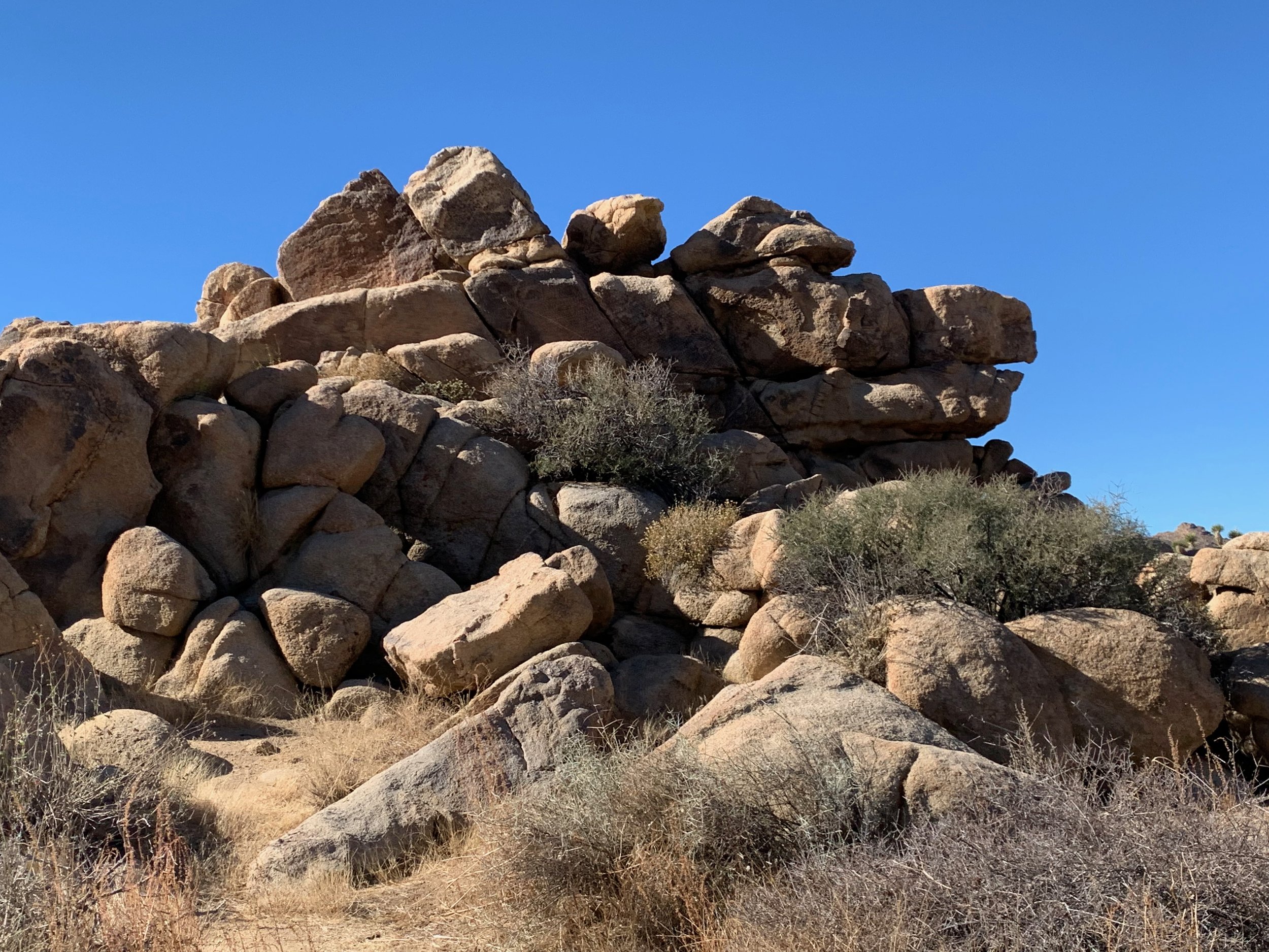 Joshua Tree rock formations.jpeg