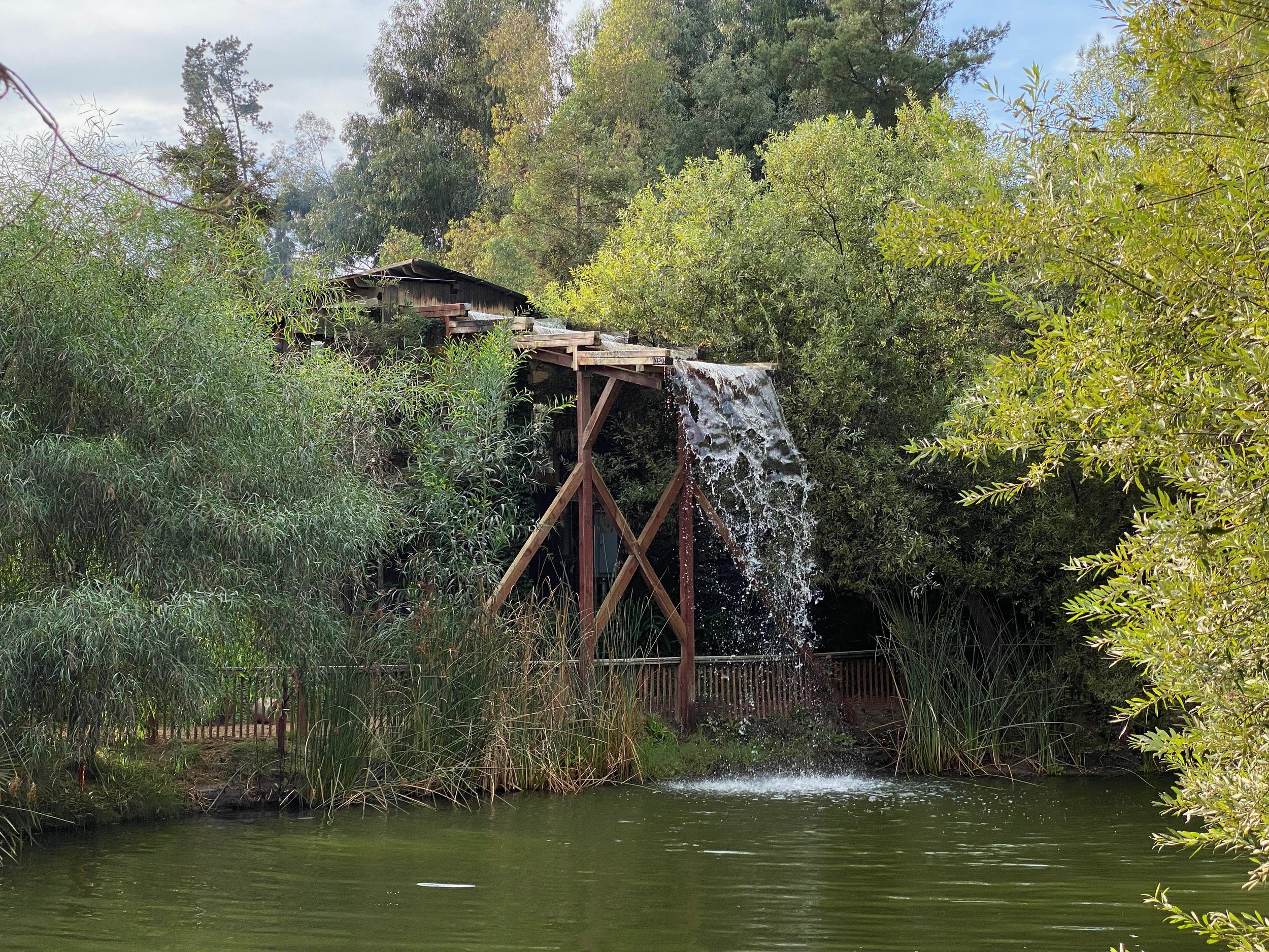 Calamigis waterfall.jpeg