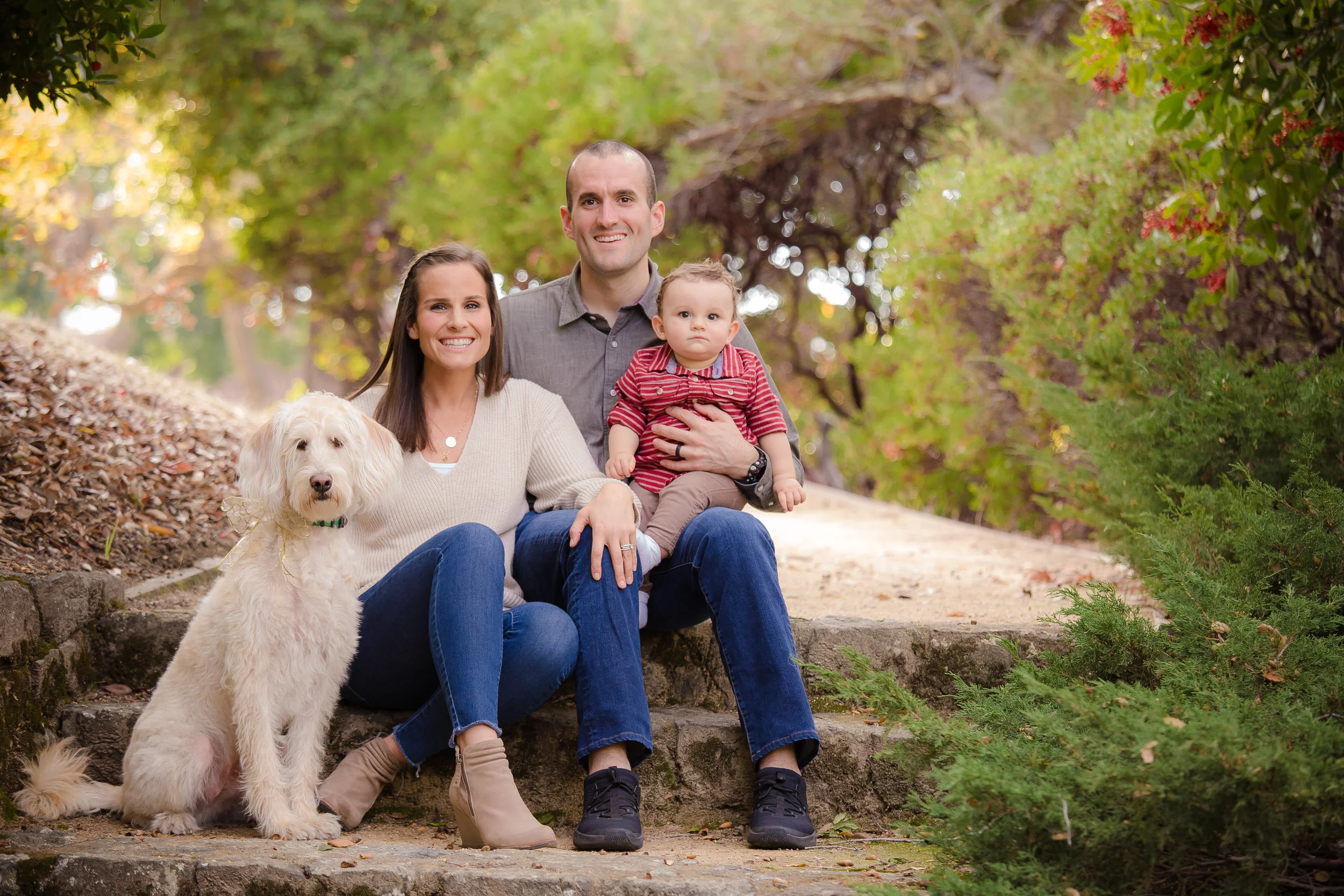 How To Include The family dog in your next photo session/Bay Area Photographer