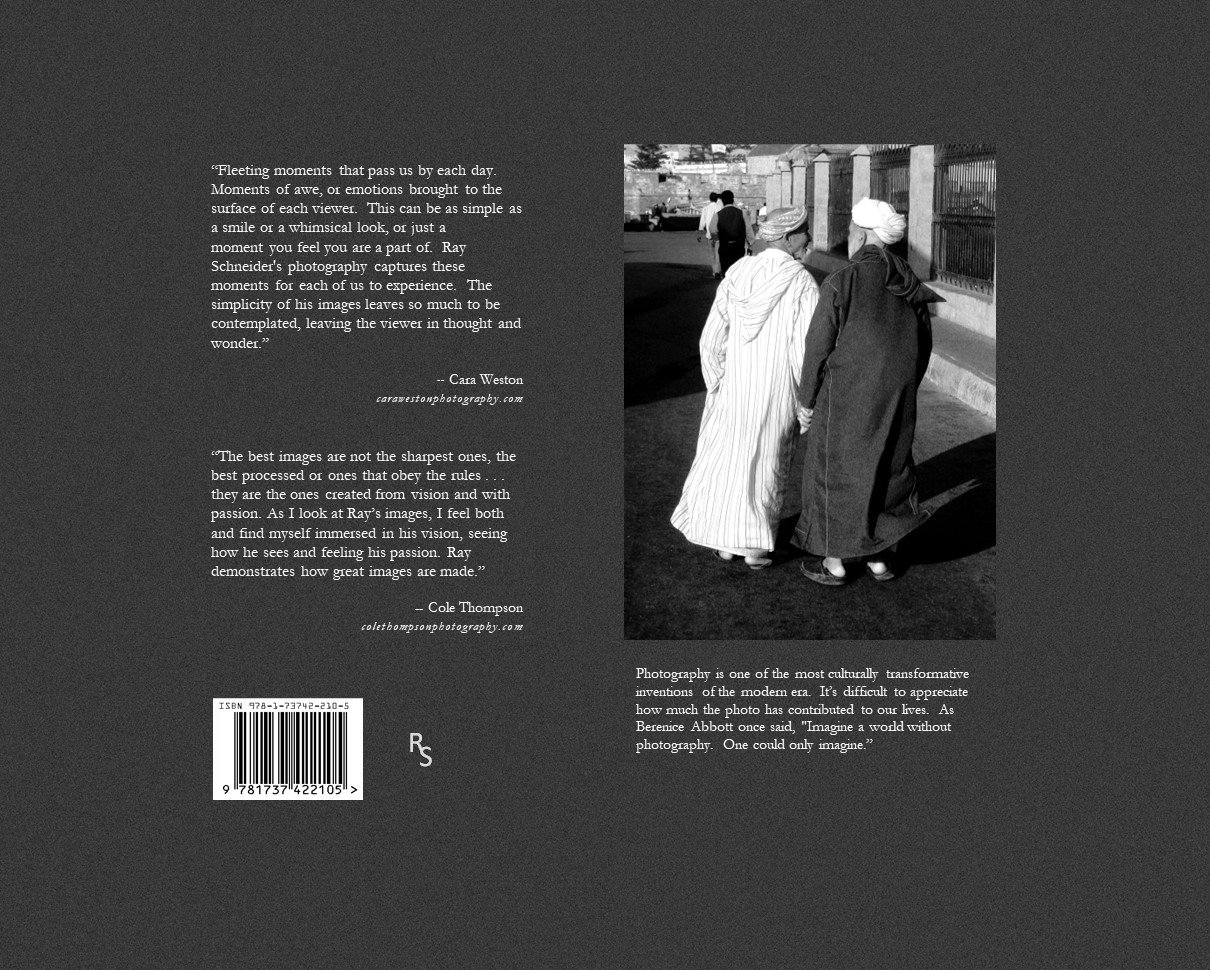 Back Cover with bleed 8.5x11 revised final - no dust jacket.jpg
