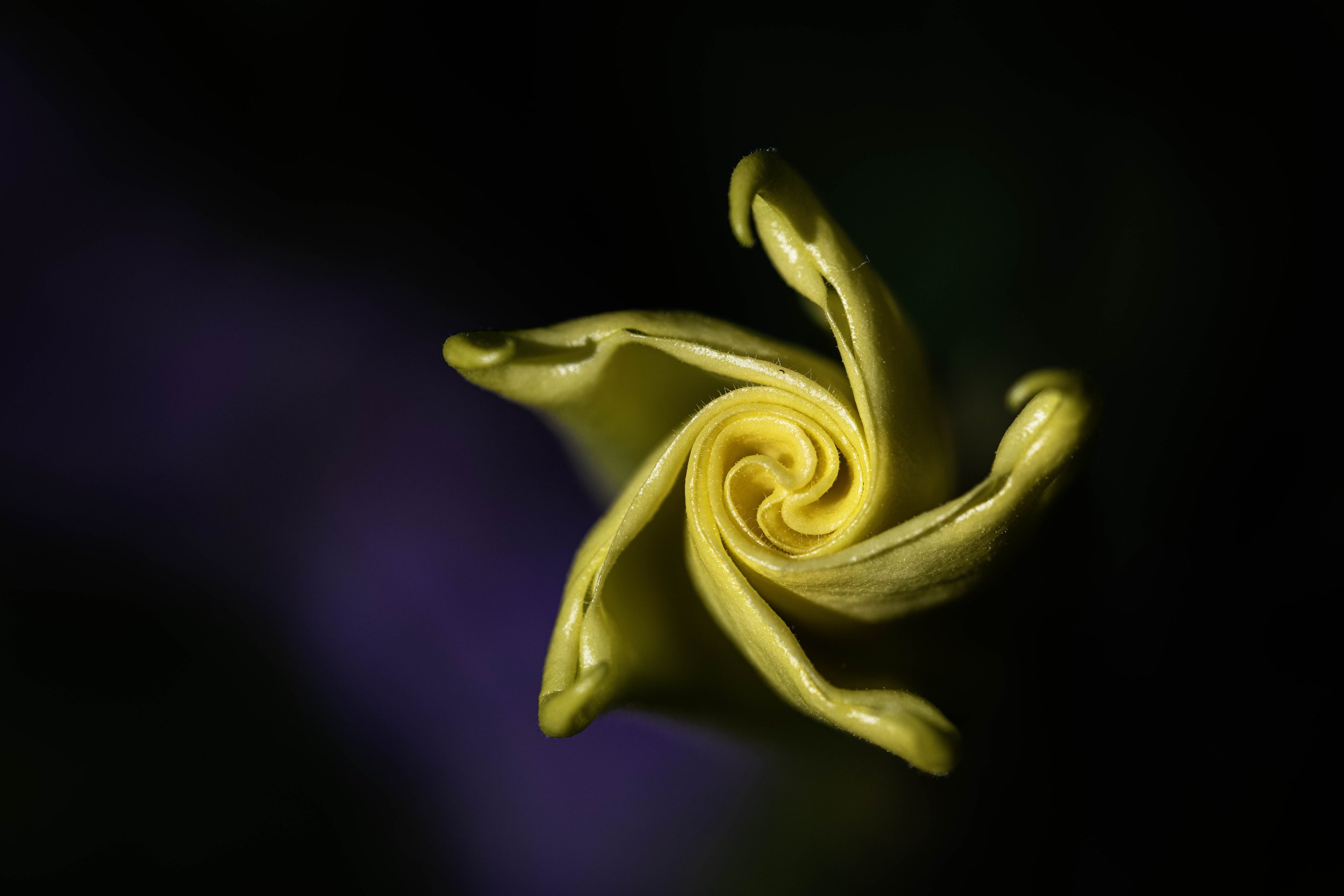DSC_3563.jpg