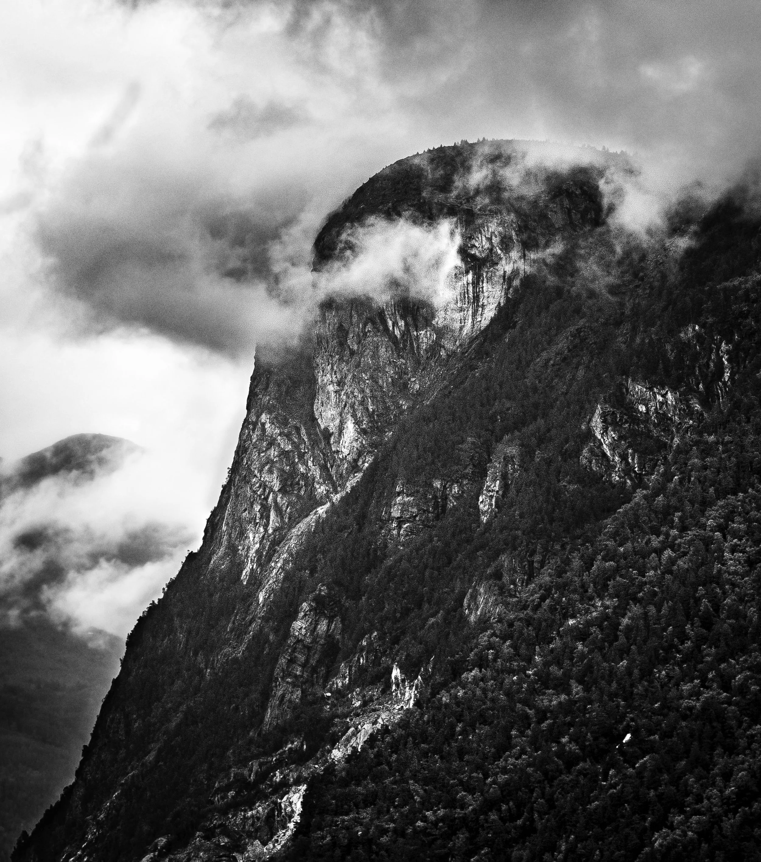 DSC_2501 copy.jpg