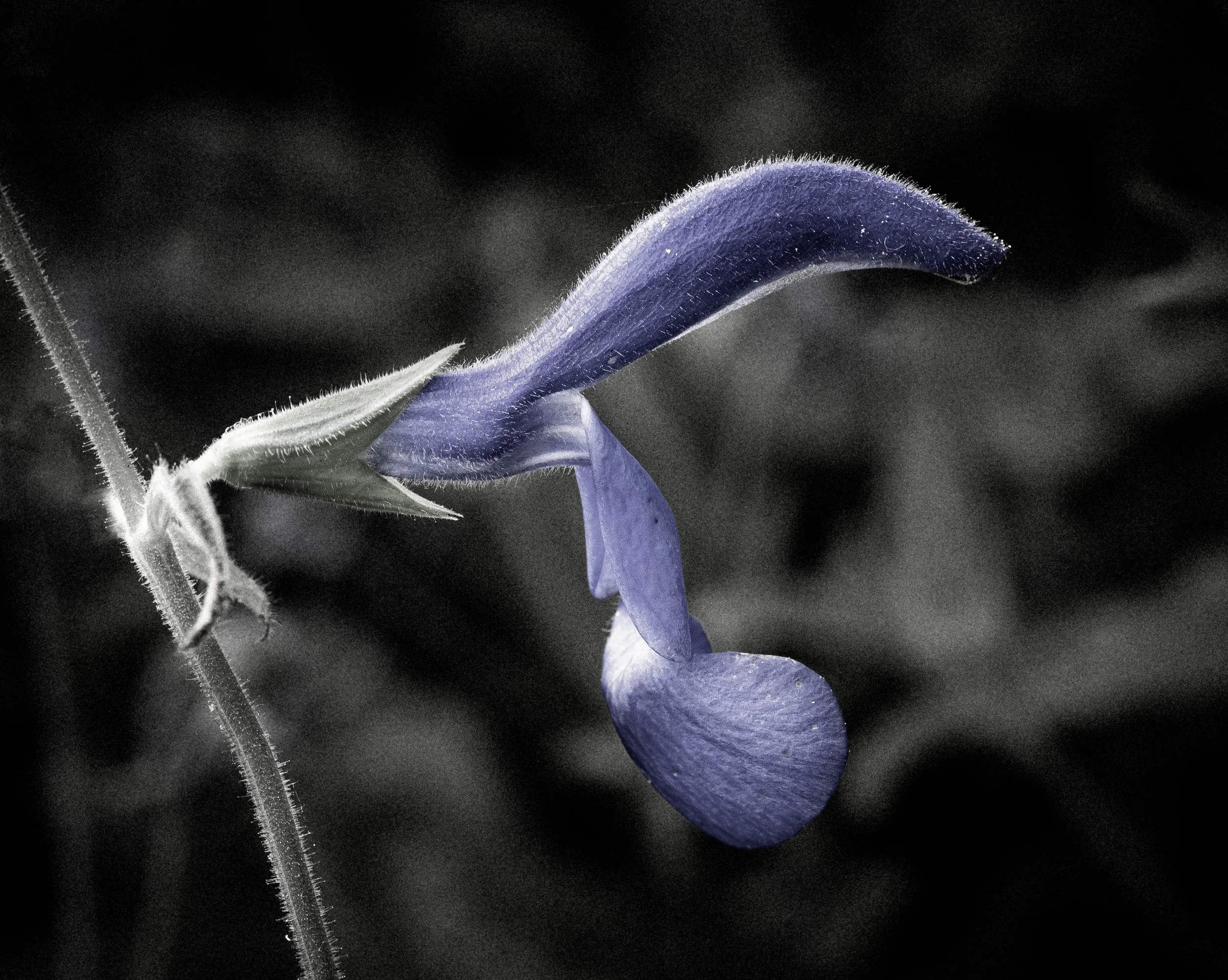 DSC_9467.jpg