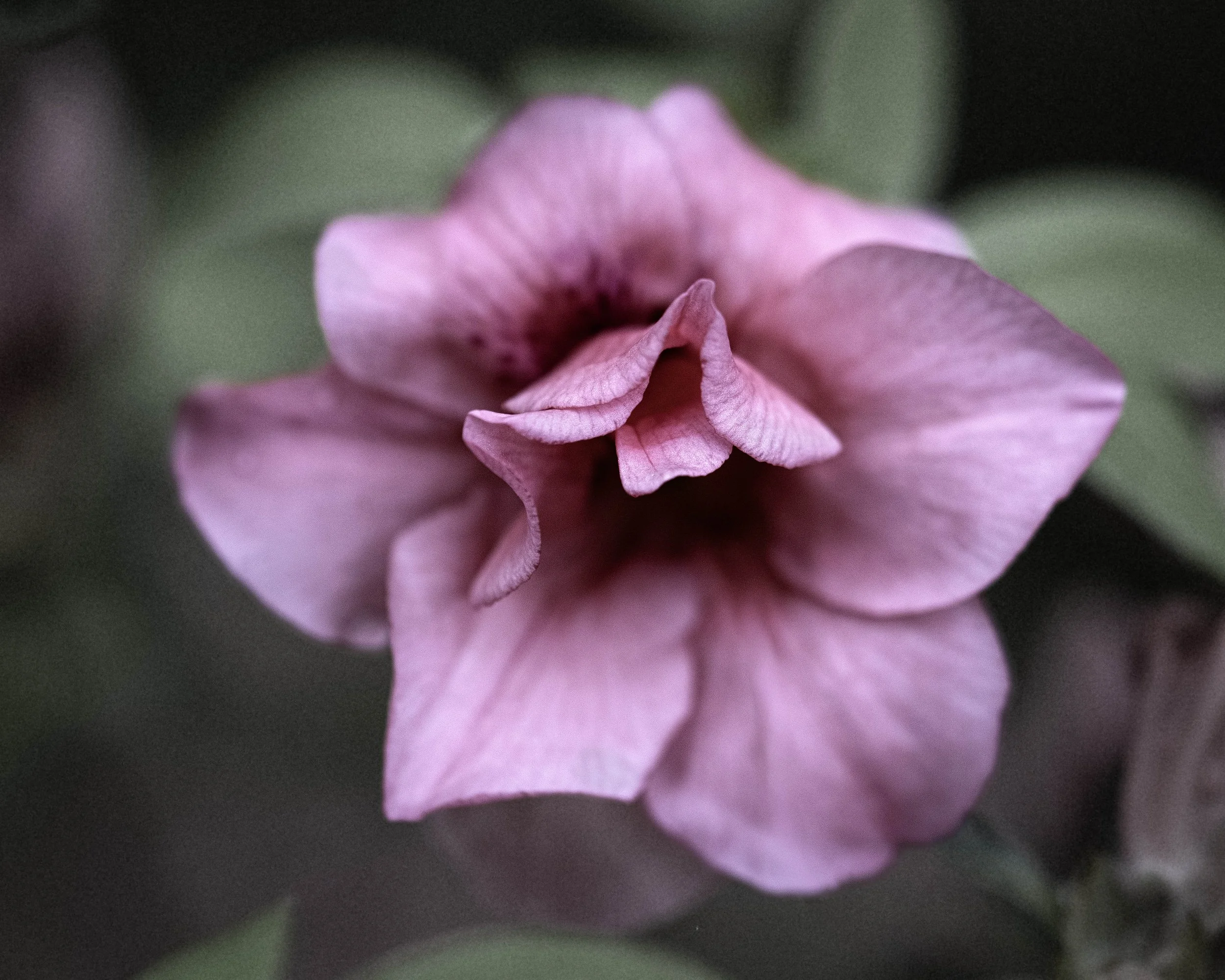 DSC_4652.jpg