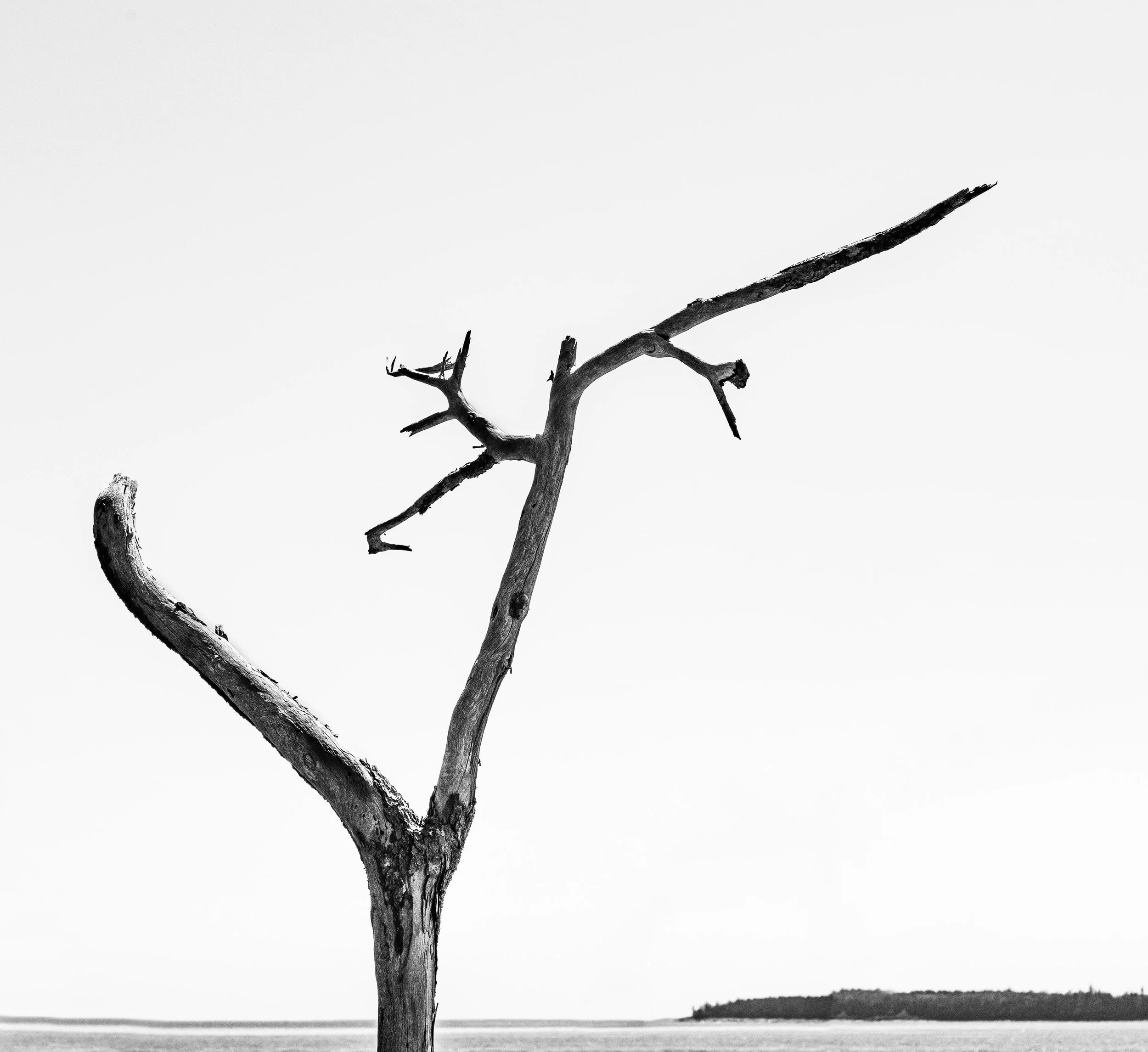 DSC_9421-1.jpg