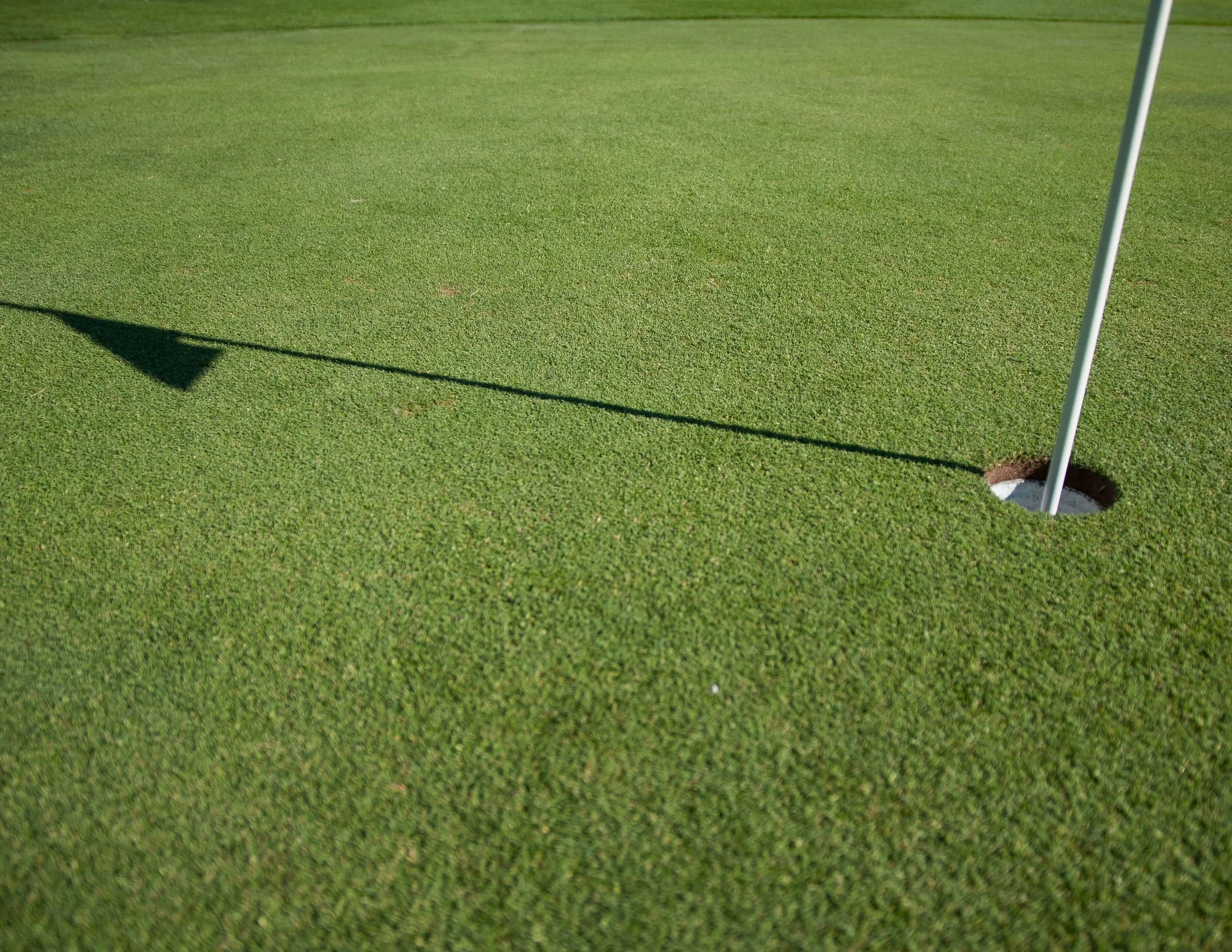 Golf Tournament Bedford Athletic Association Bedford MA