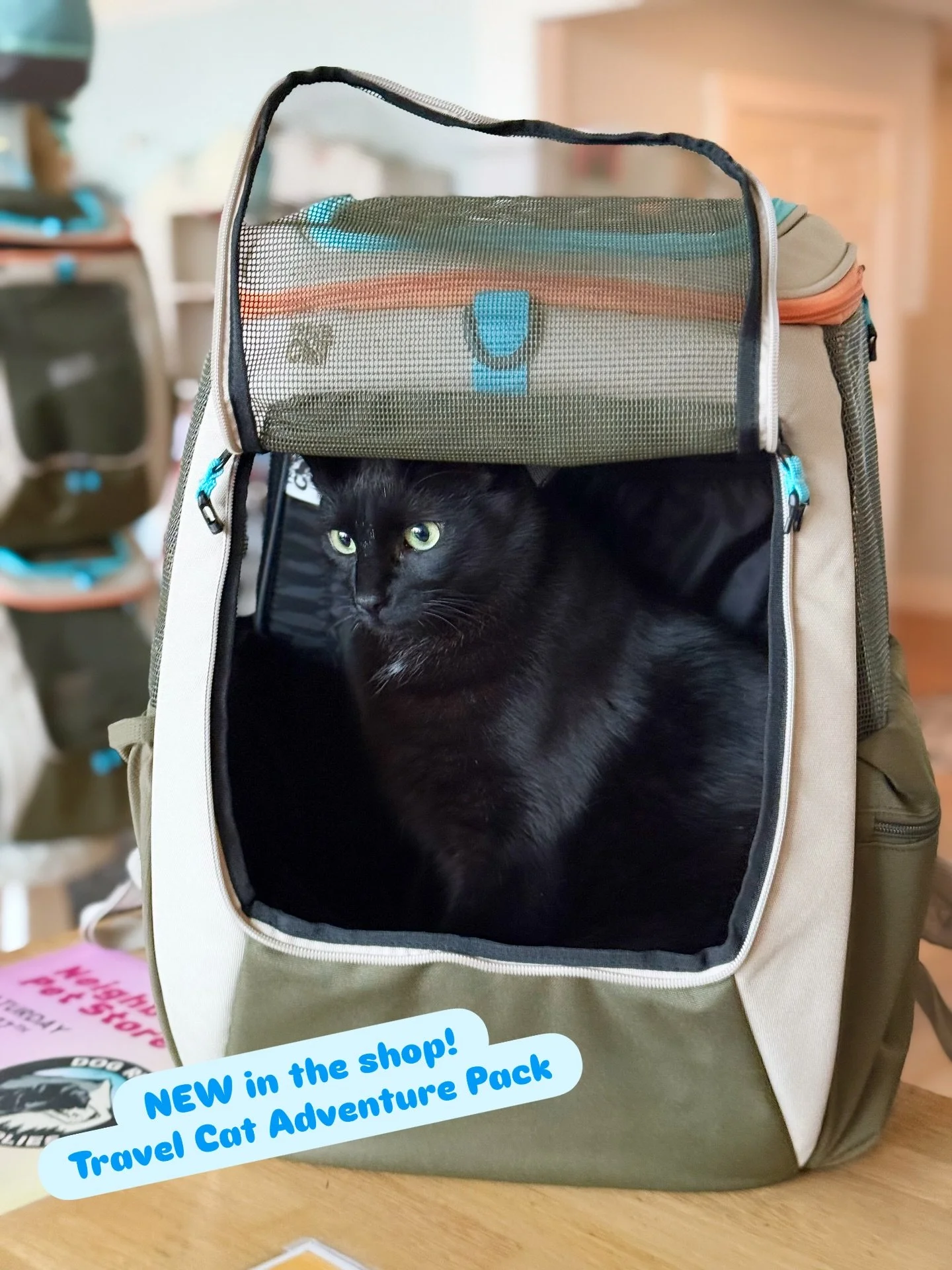 Squid approved! 🐾
The new @yourcatbackpack Adventure backpack is GORGEOUS, extremely well made and safe for kitties and small dogs. We also have their super simple, very classy kitty harnesses in stock, a perfect pair for all you adventure cats out 