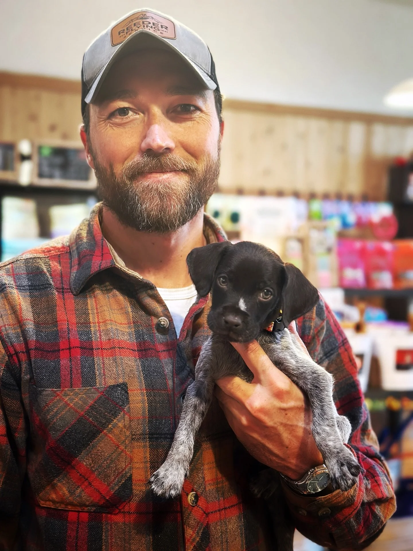 This is definitely the tiniest Pointer puppy we have ever seen! His name is Jax and he's doing really well. 🐶
He had a bit of a ruff start, but he came in for his second visit today and he's much more alert and playful, and all of his puppy antics a