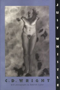 12-just-whistle.jpg