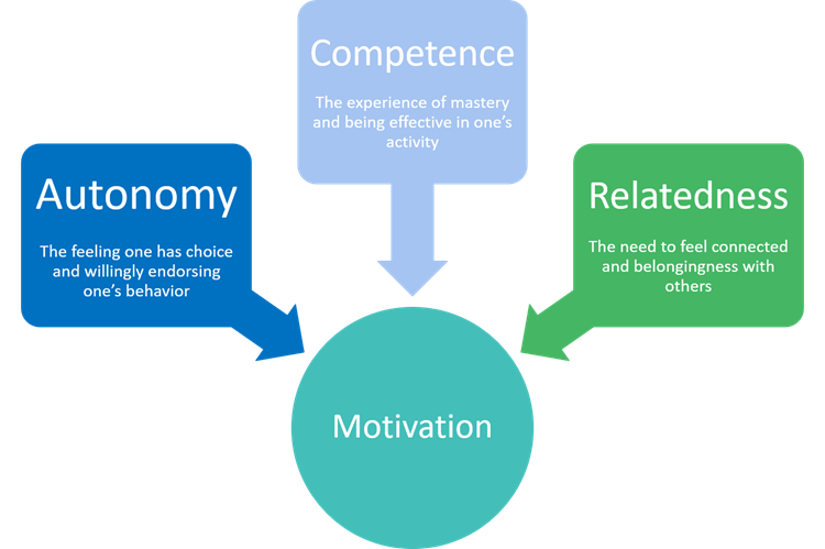 Infographic describing self-determination theory (courtesy of University of Rochester)