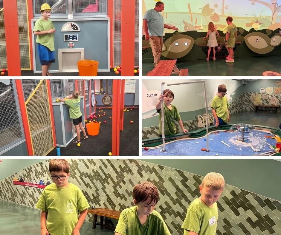 iconnect-discovery-world-nature-exhibit-and-ball-pit.jpg
