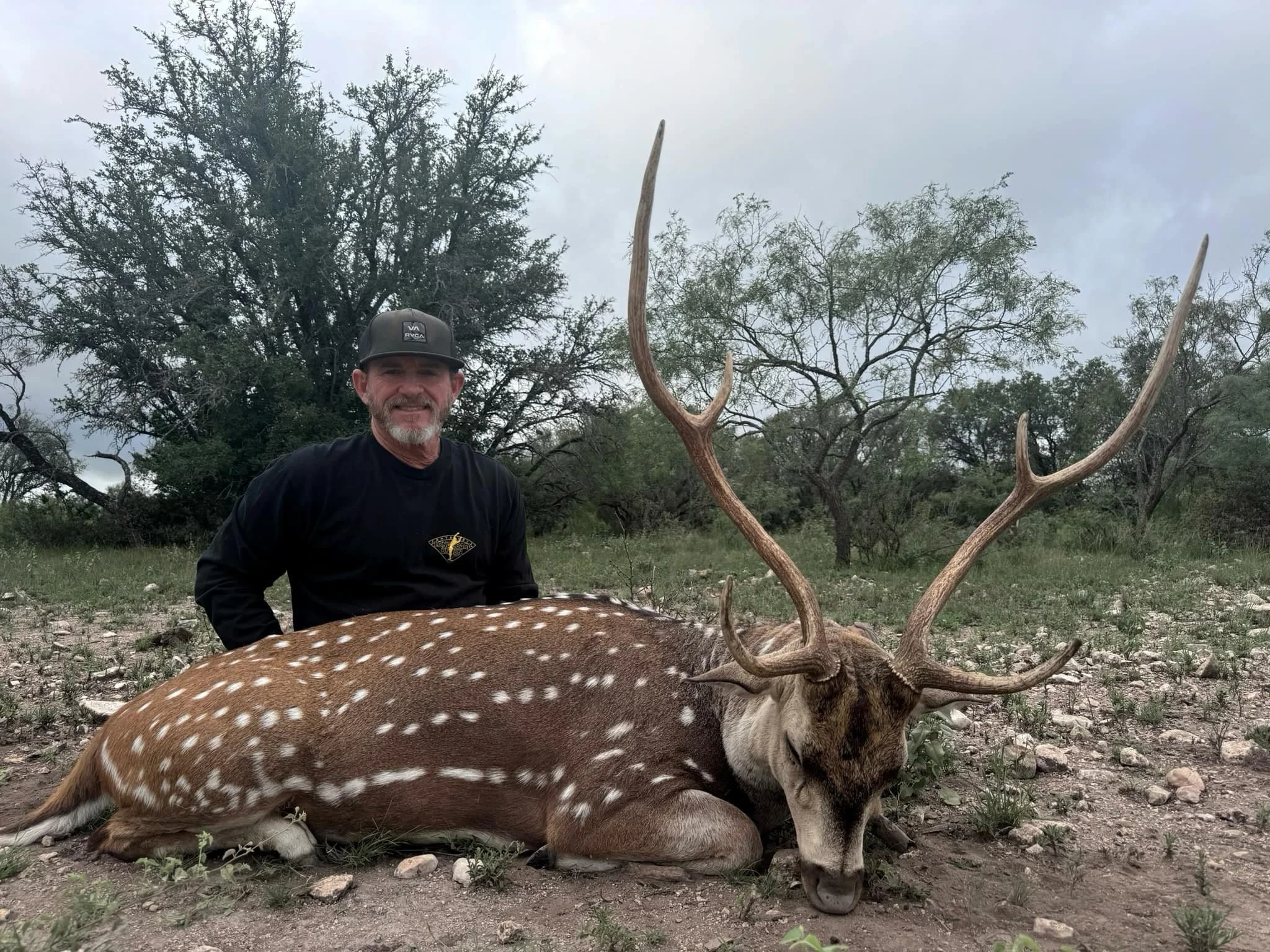 trophy axis buck 2.jpg