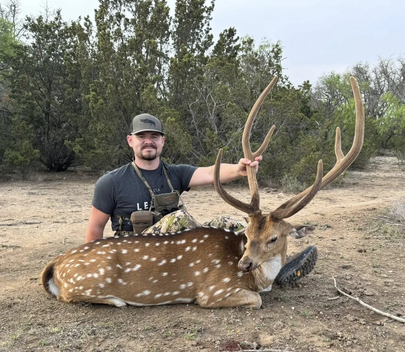 trophy axis buck 6.jpg